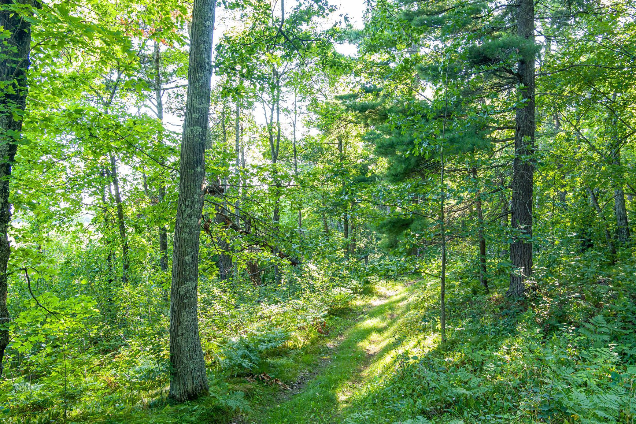 Tbd Lantern Lane Property Photo 31