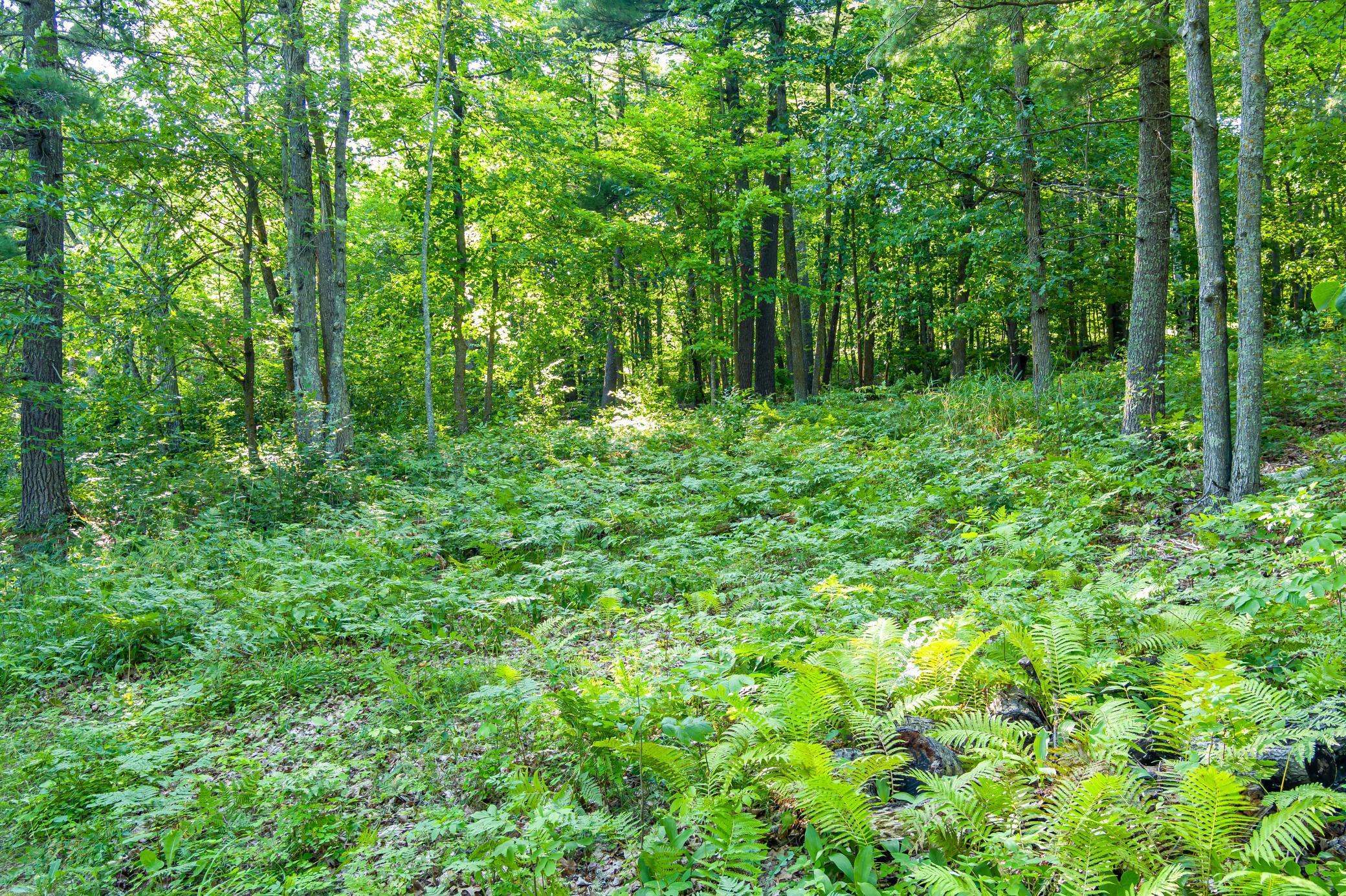Tbd Lantern Lane Property Photo 32