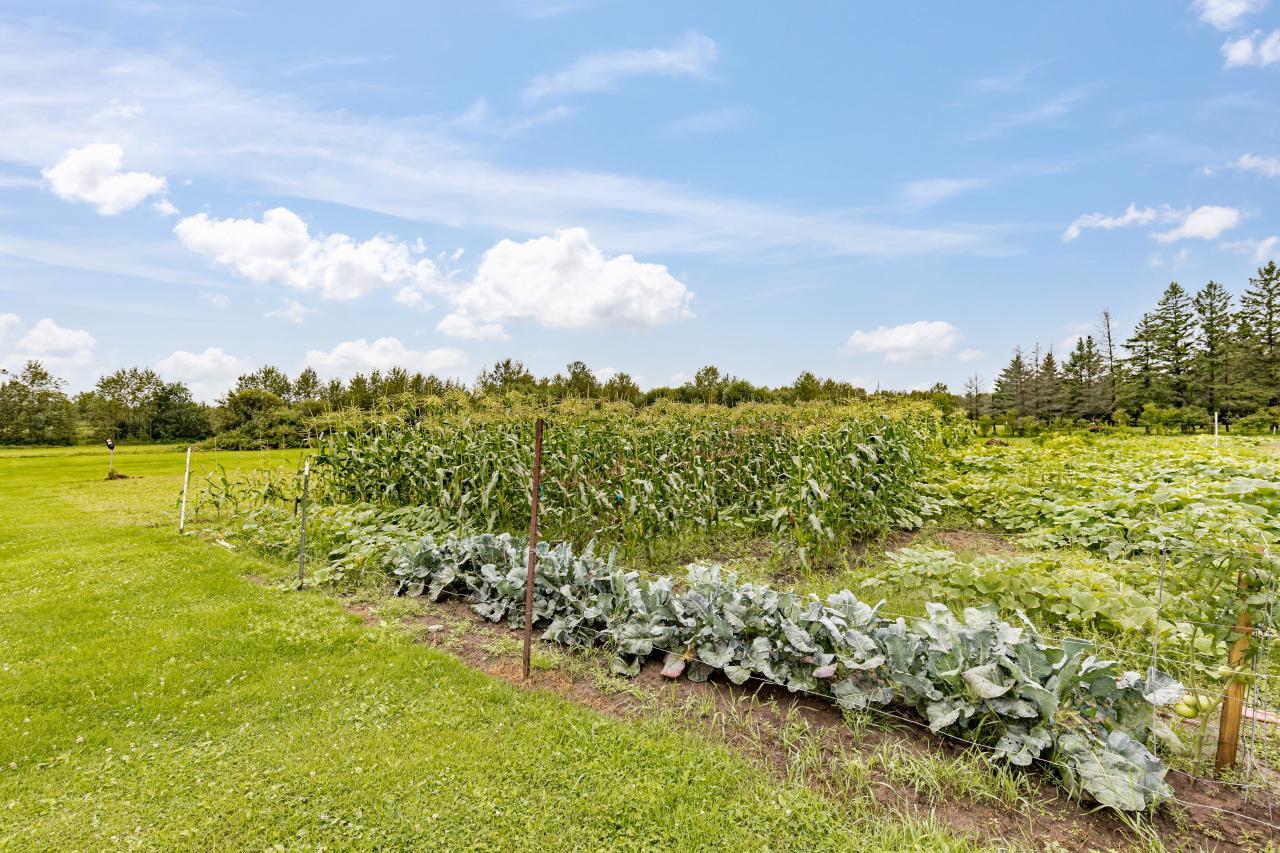 3723 Birchwood Road Property Photo 46