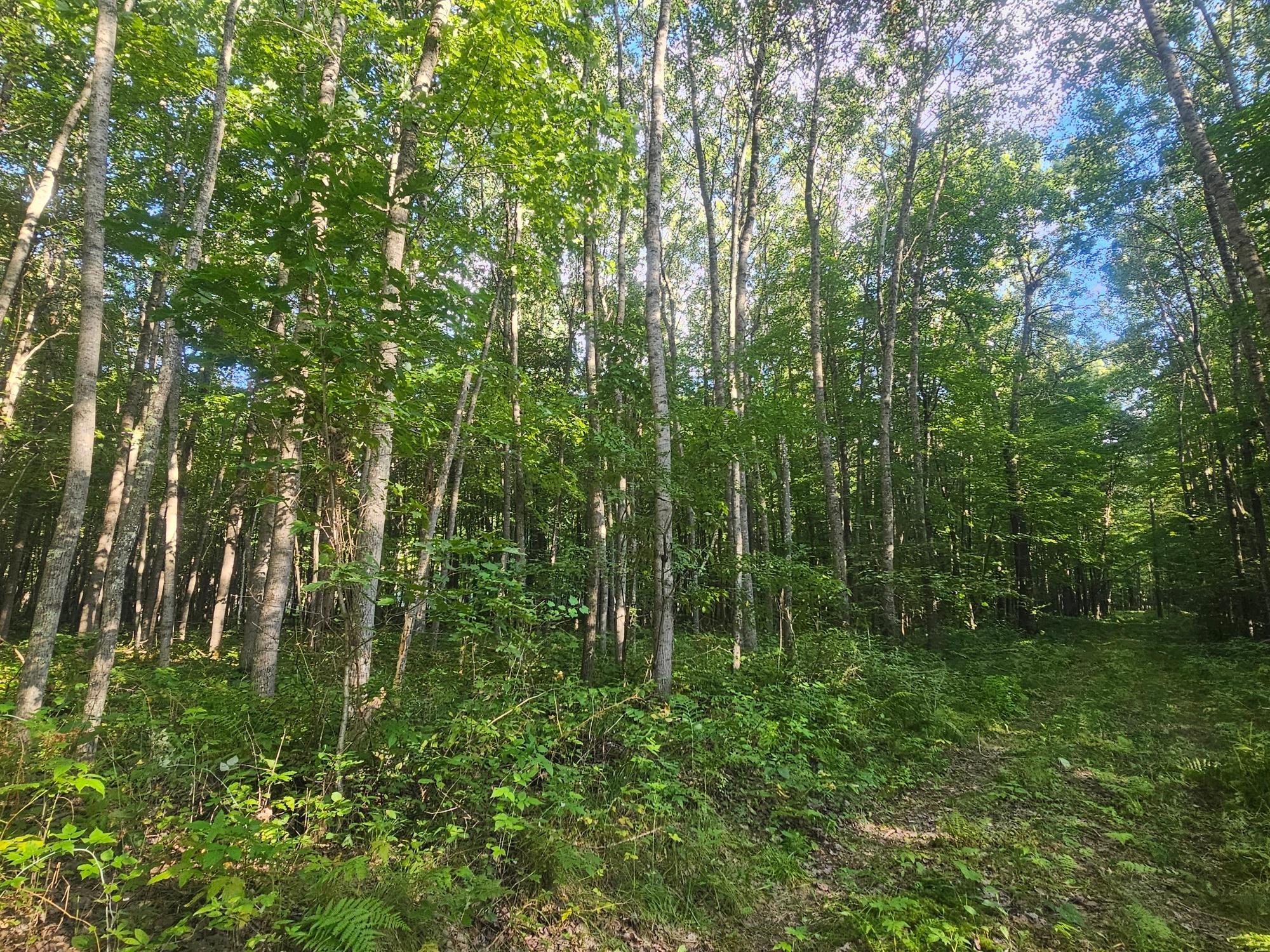 Lot 3 Ken Can Lane Property Photo 1
