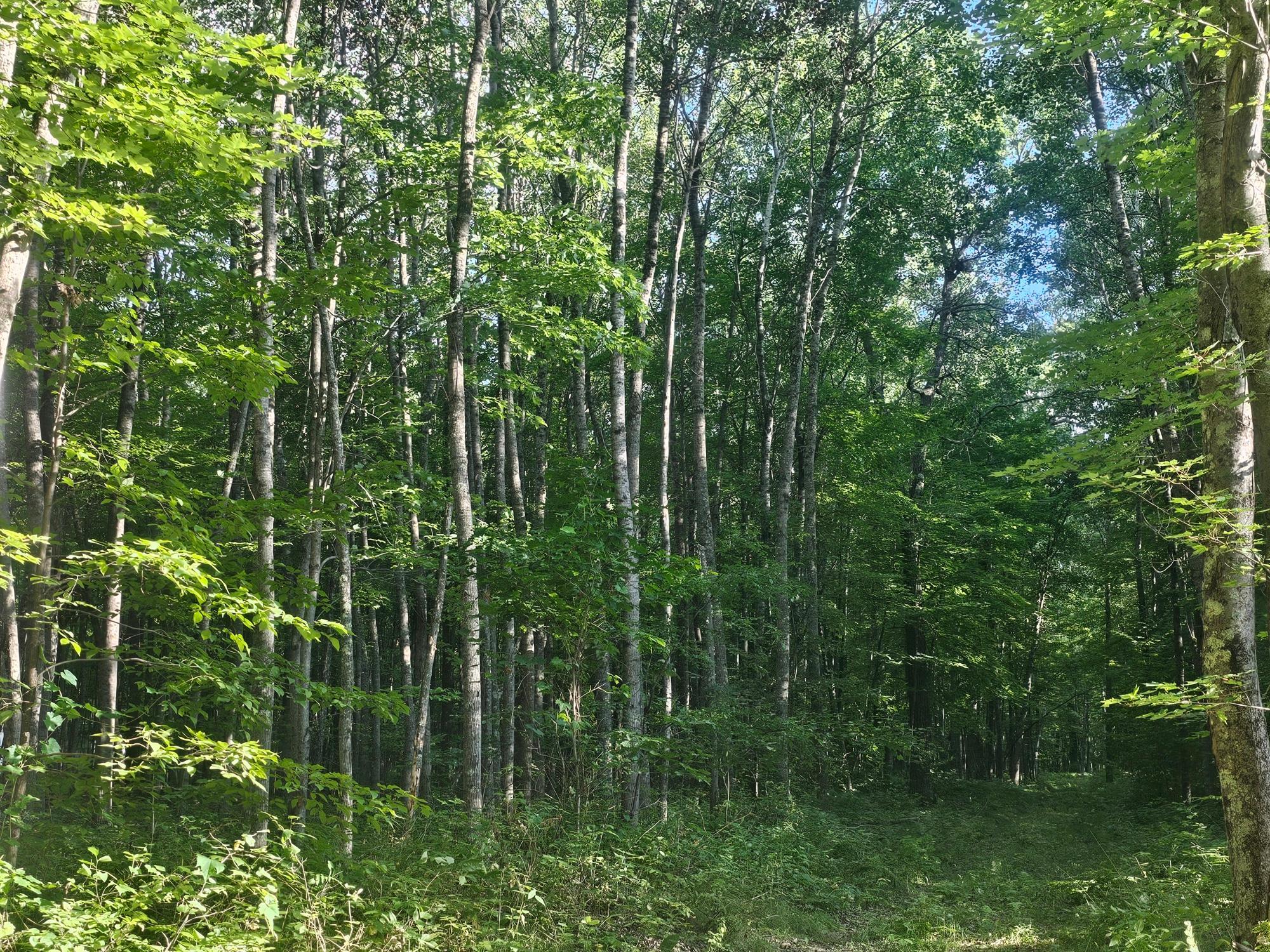 Lot 3 Ken Can Lane Property Photo 5