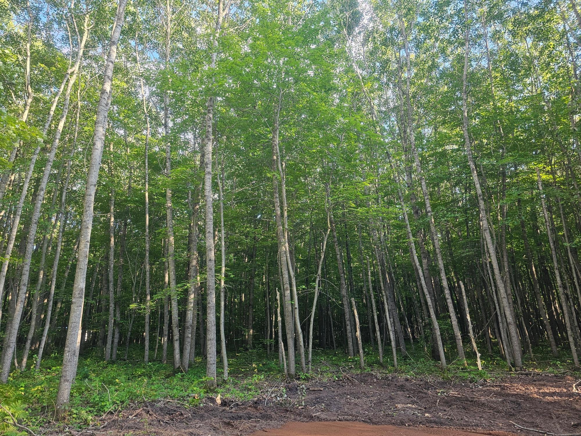 Lot 3 Ken Can Lane Property Photo 6