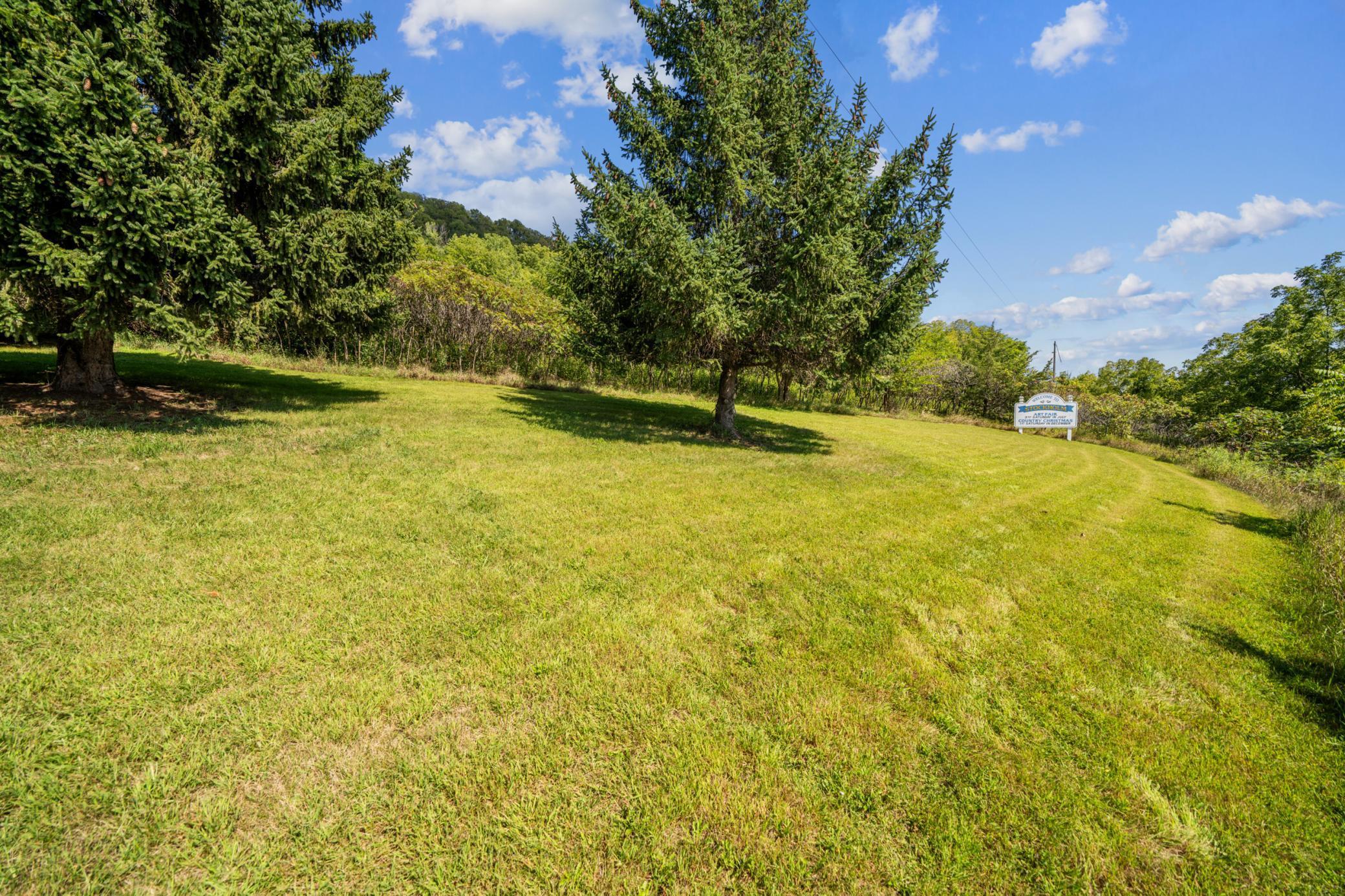 8.54 Ac State Highway 35 Property Photo 6