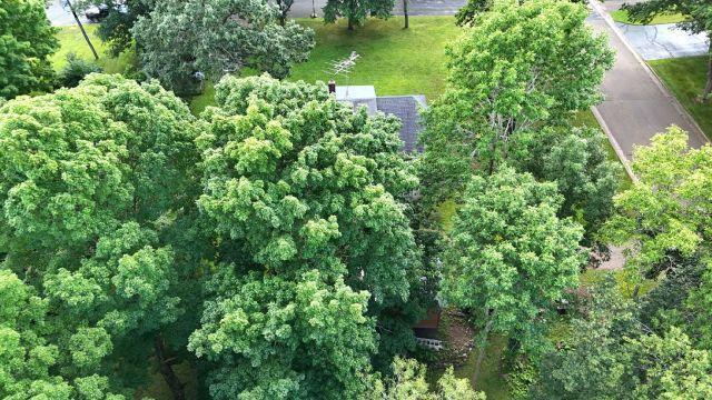 202 2nd Avenue N Property Photo 34