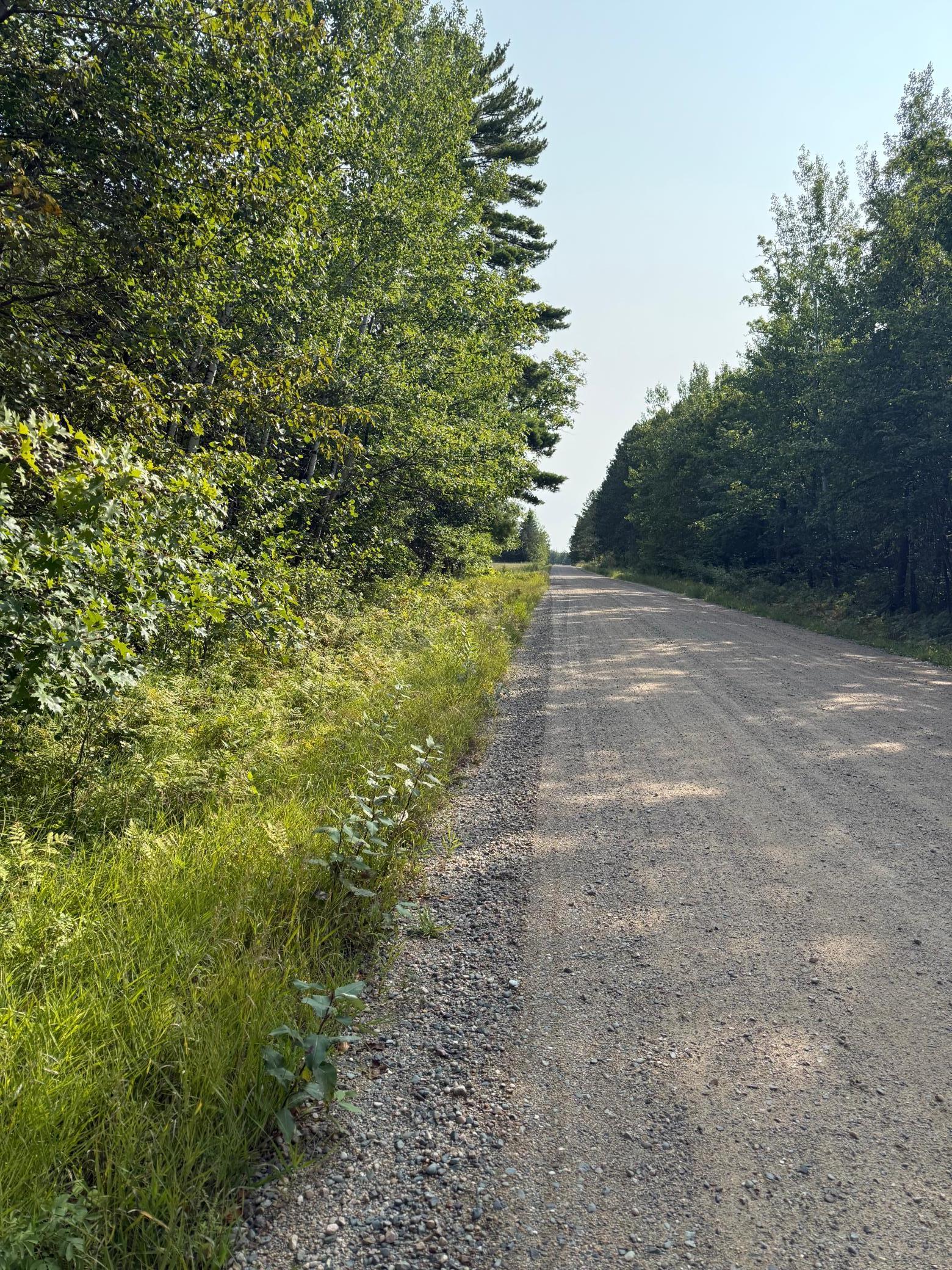 30371 Old Sunset Drive Property Photo 7
