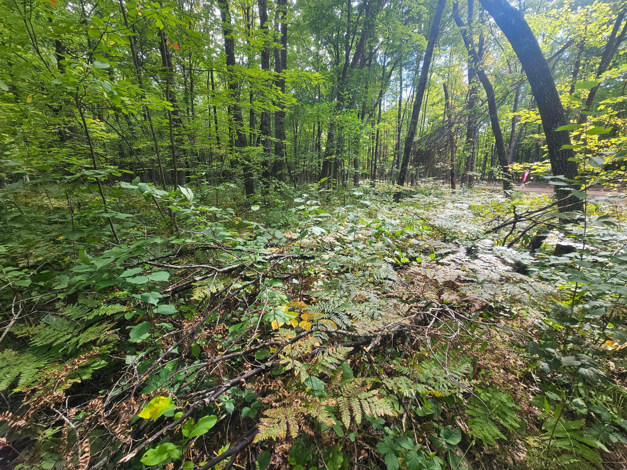 Lot 5 Ken Can Lane Property Photo 1