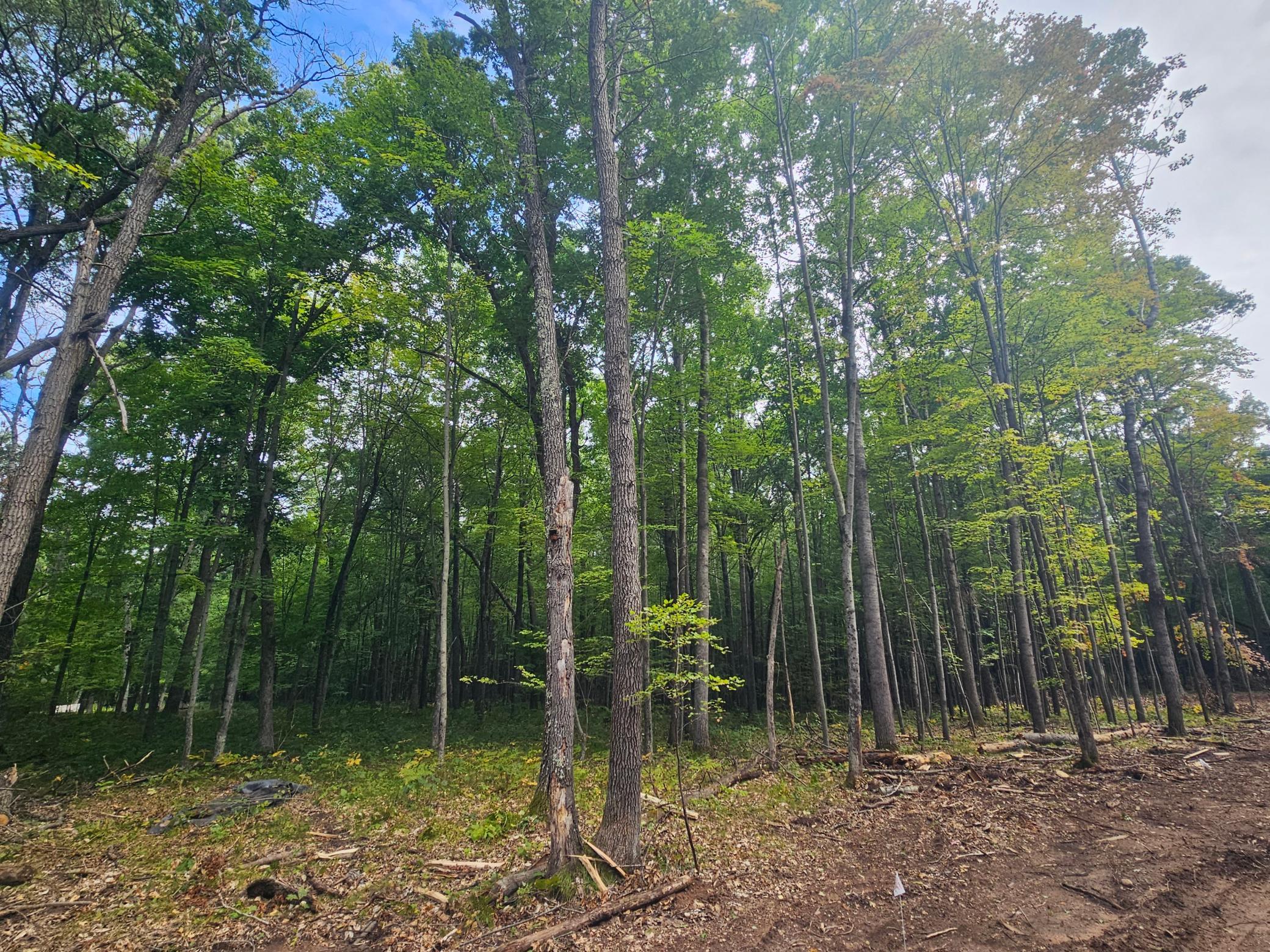 Lot 5 Ken Can Lane Property Photo 3