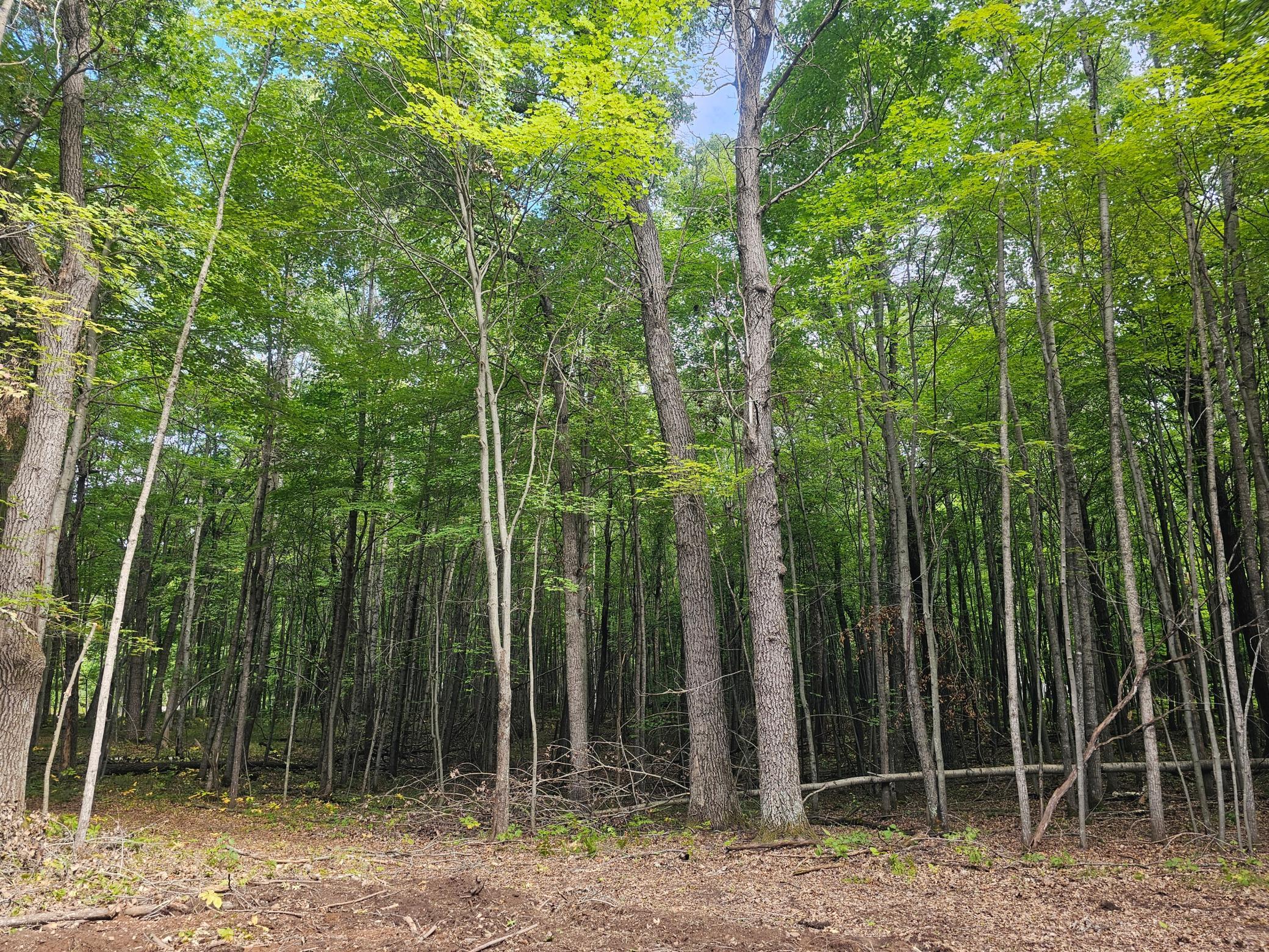 Lot 6 Ken Can Lane Property Photo 1