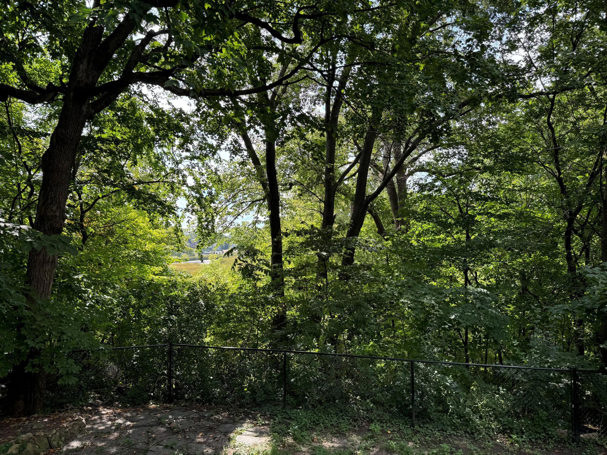 5129 Waterbury Road Property Photo 6