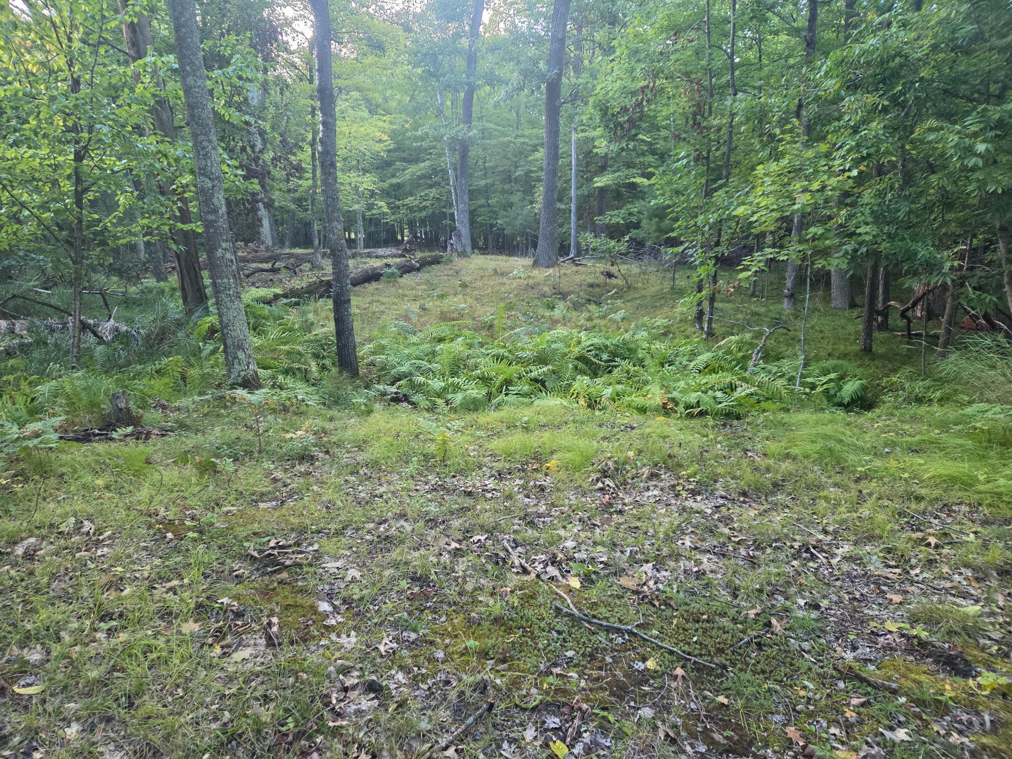 Tbd 484th Street Property Photo 1