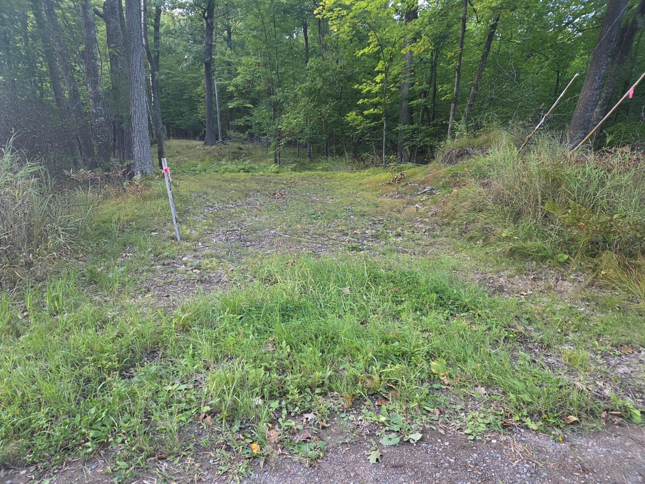 Tbd 484th Street Property Photo 2