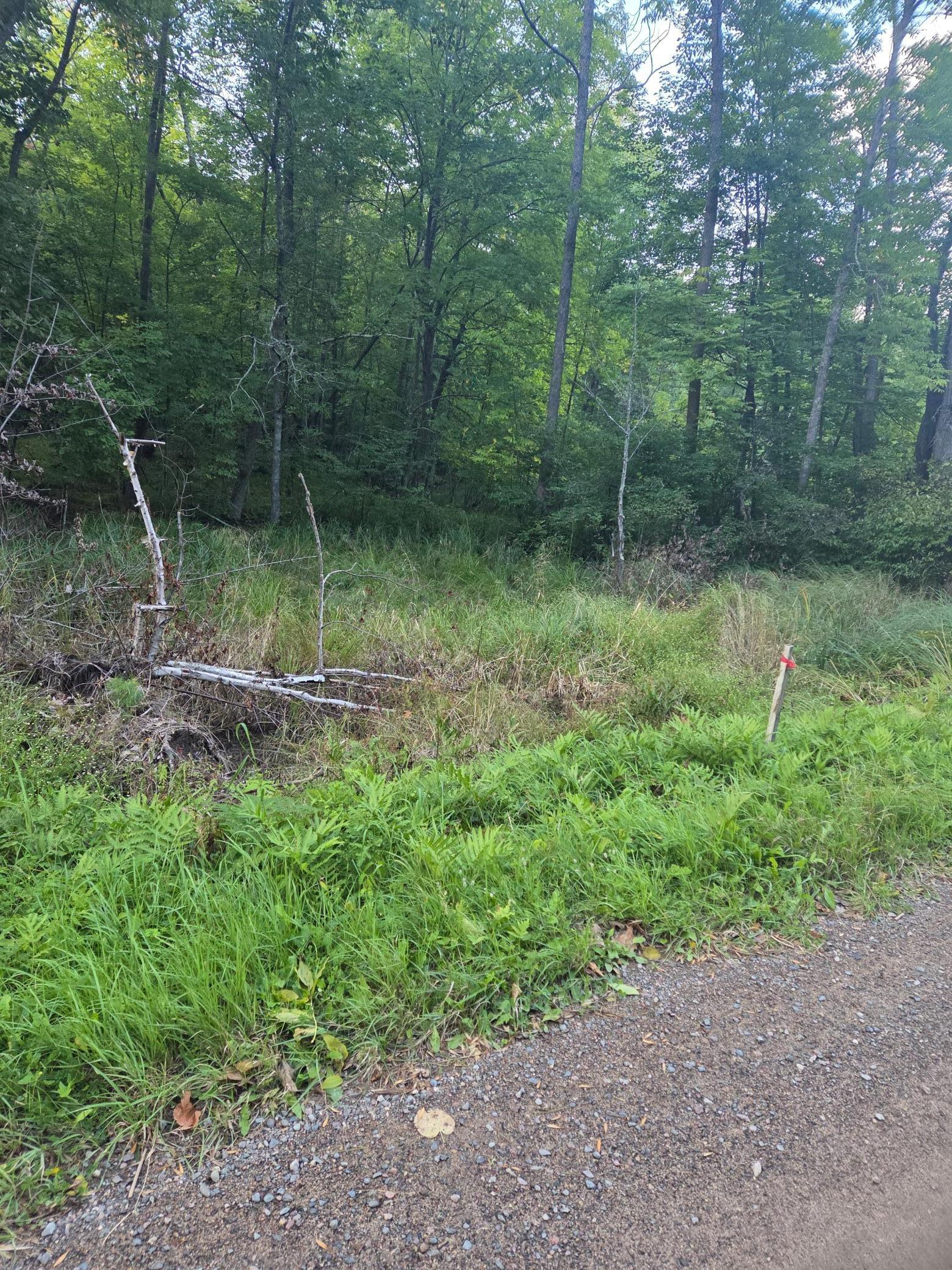 Tbd 484th Street Property Photo 3