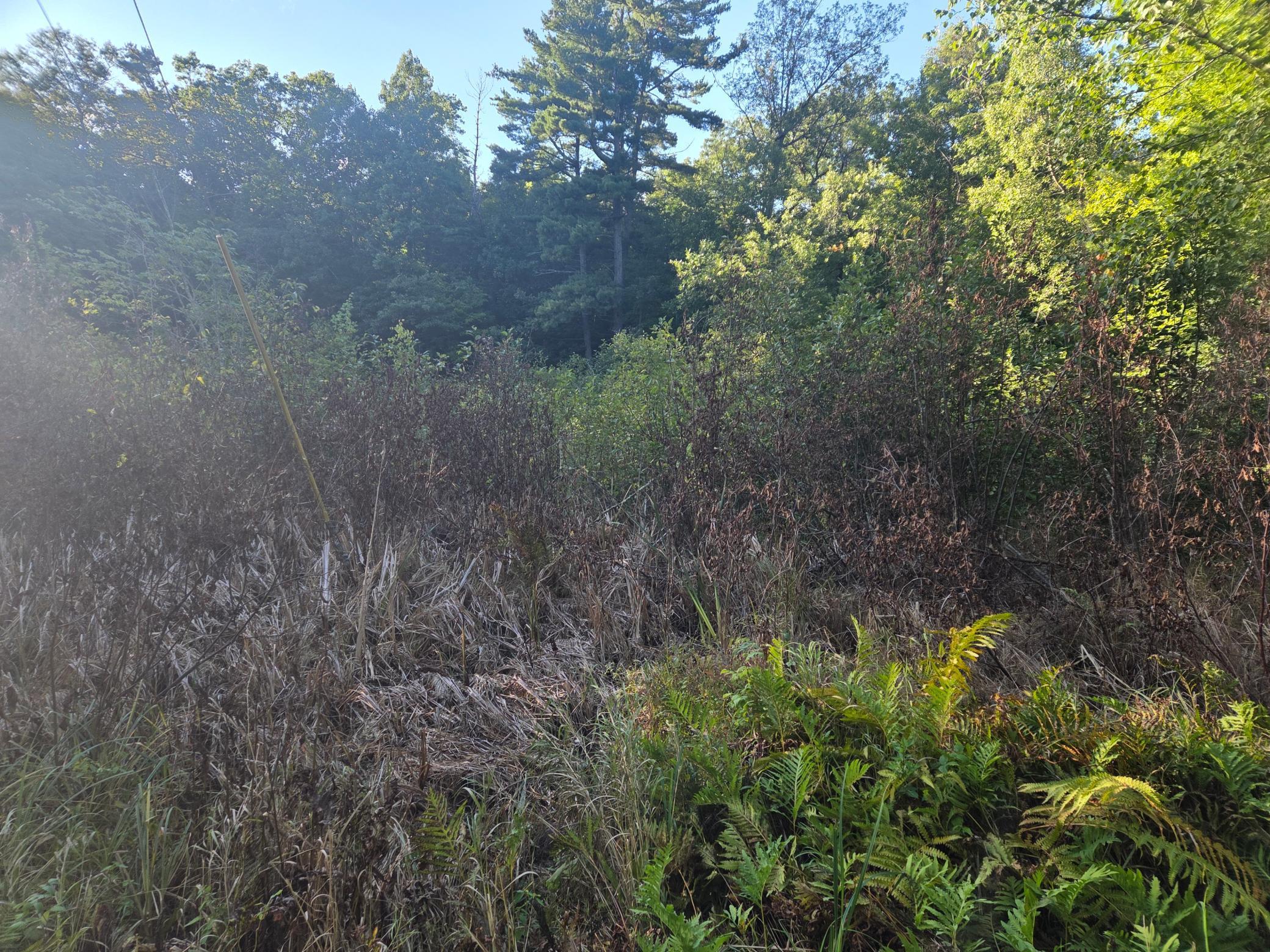 Tbd 484th Street Property Photo 7