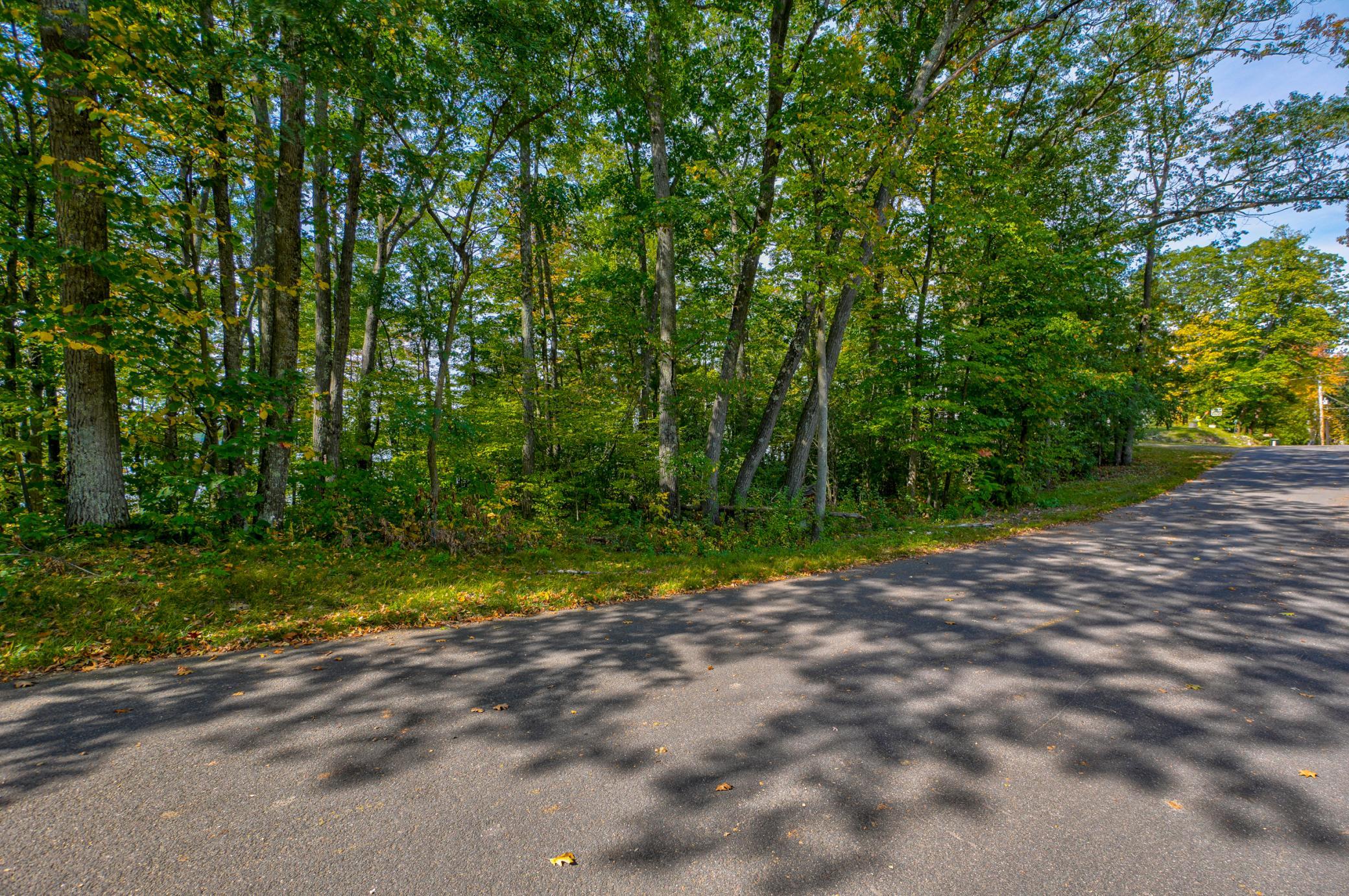 Lot 1 Division Avenue Property Photo 14