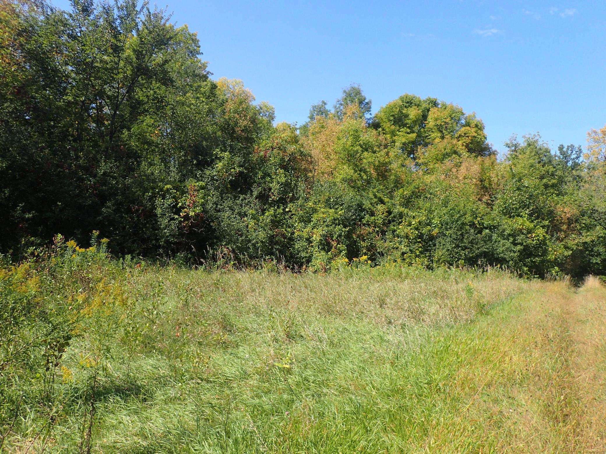 Tbd8.5 County Road 106 Property Photo 5