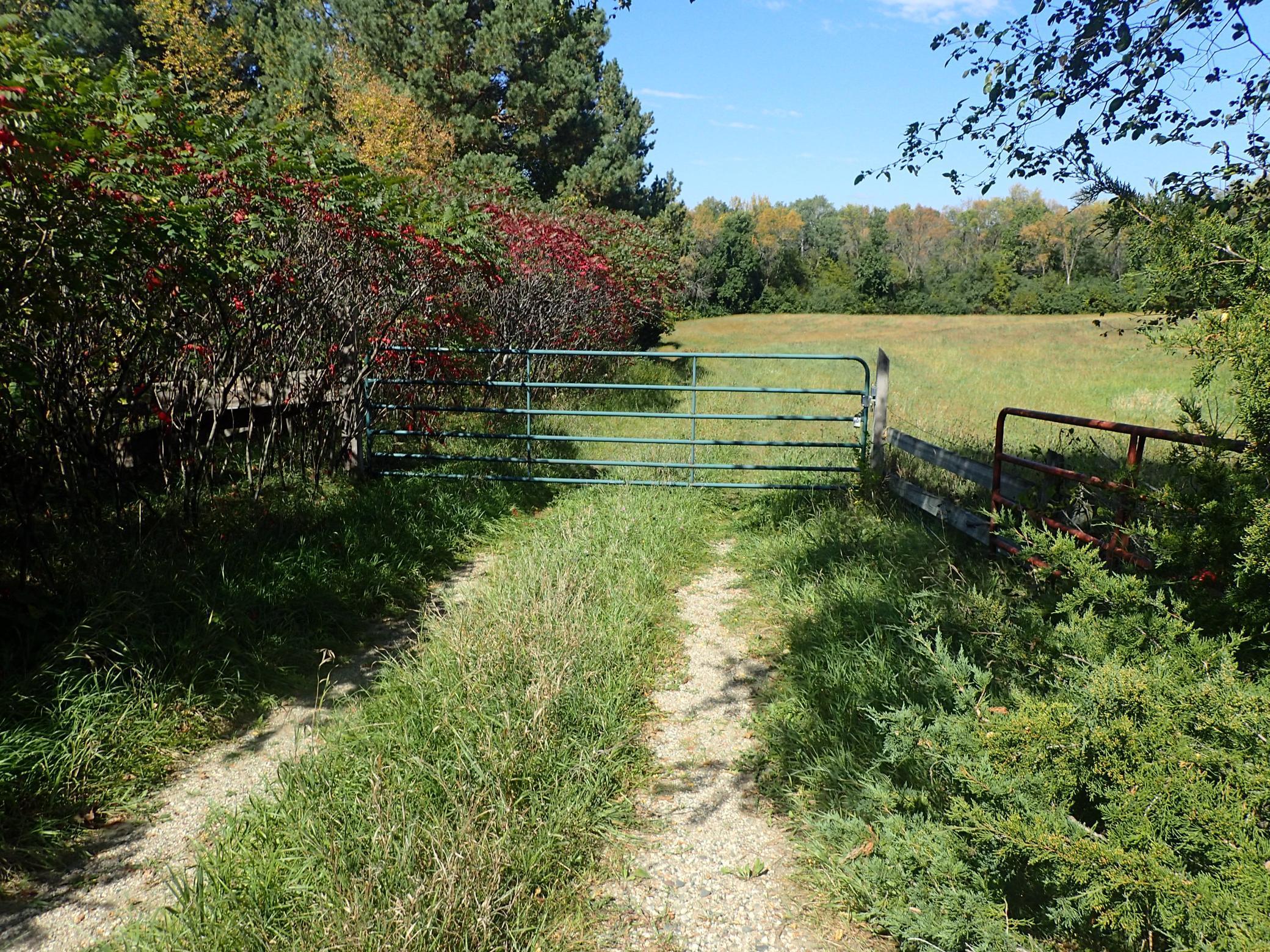 Tbd8.5 County Road 106 Property Photo 11