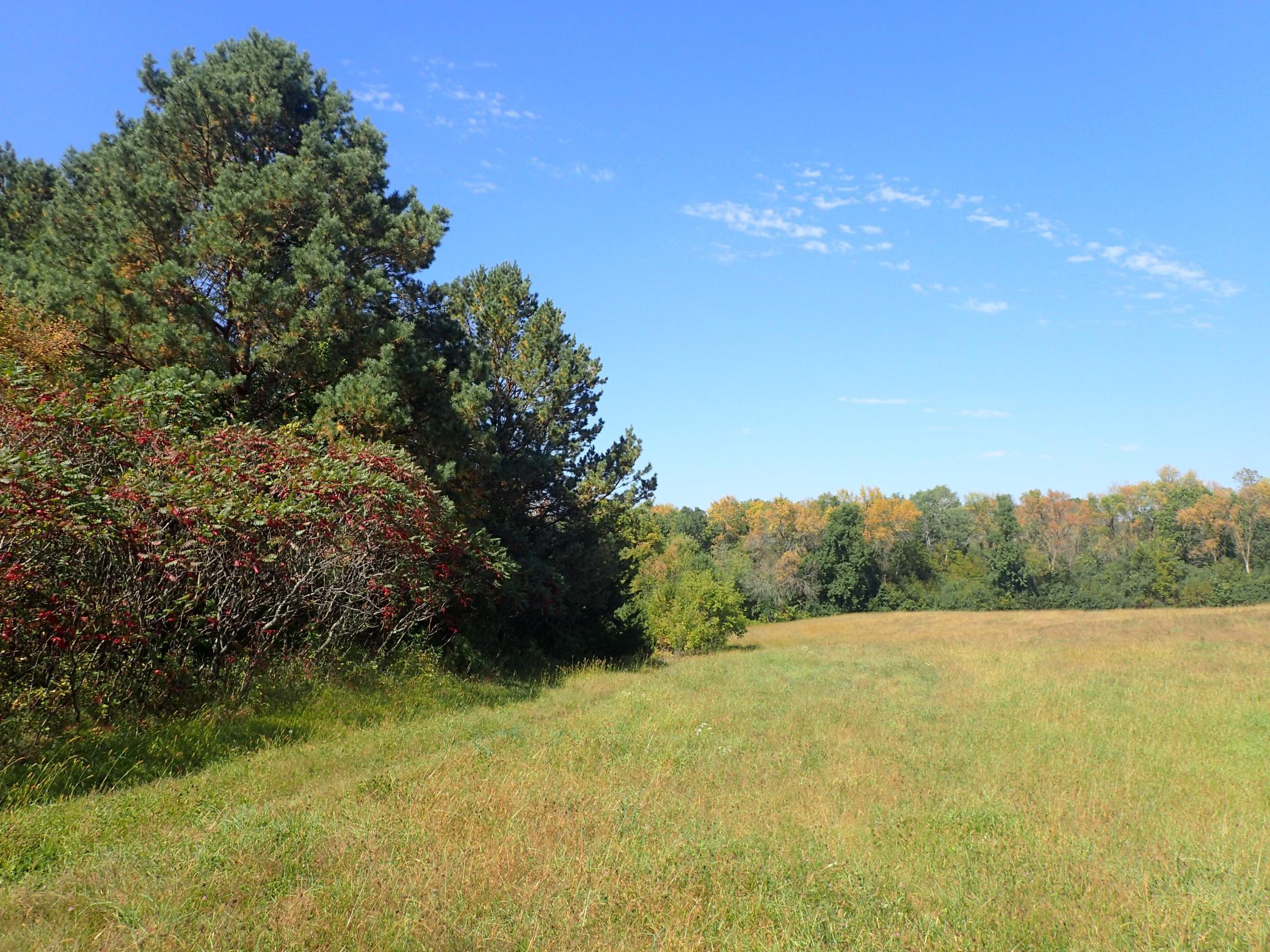Tbd8.5 County Road 106 Property Photo 12