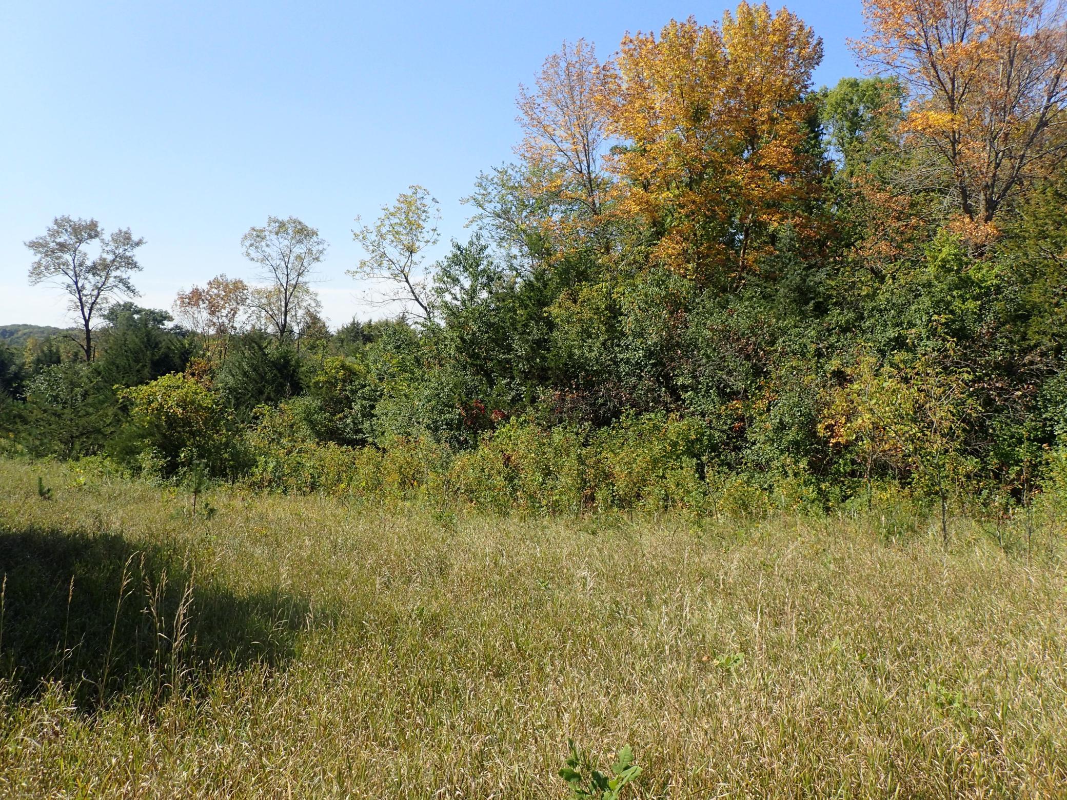 Tbd8.5 County Road 106 Property Photo 14