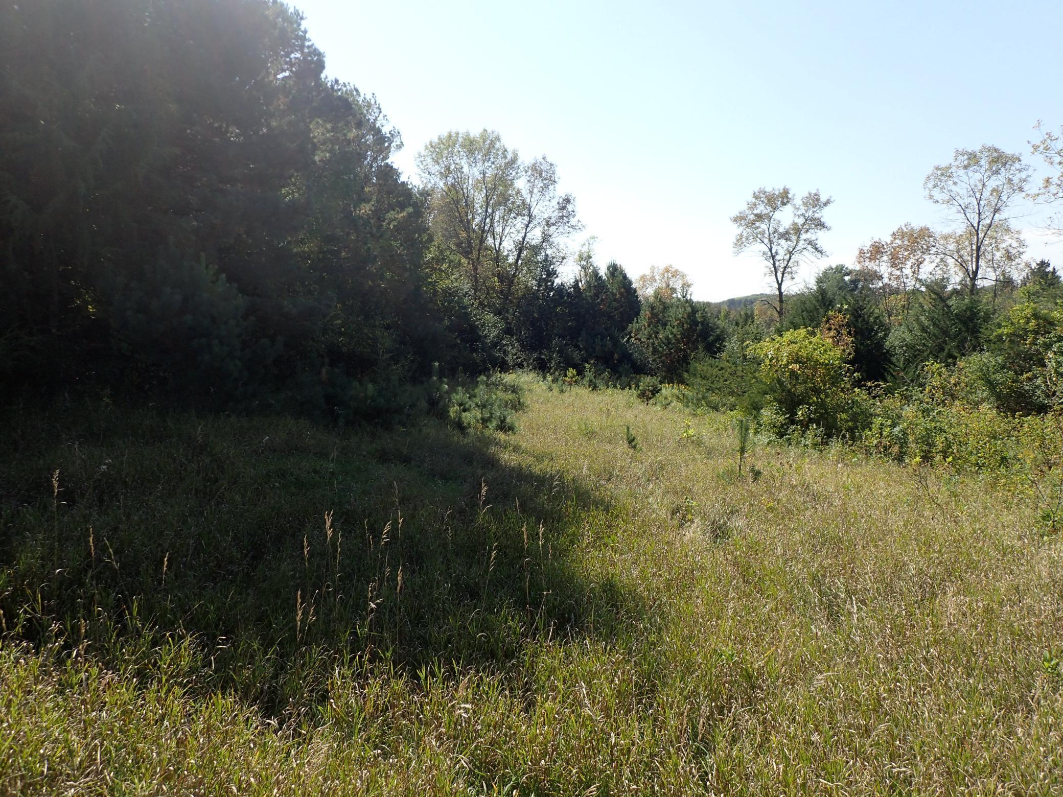 Tbd8.5 County Road 106 Property Photo 15