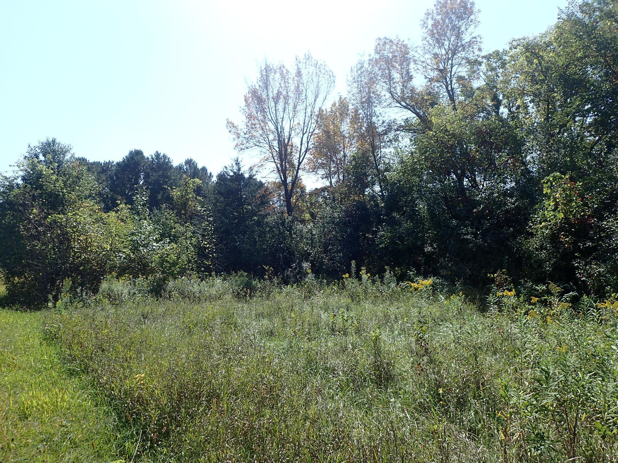 Tbd8.5 County Road 106 Property Photo 16