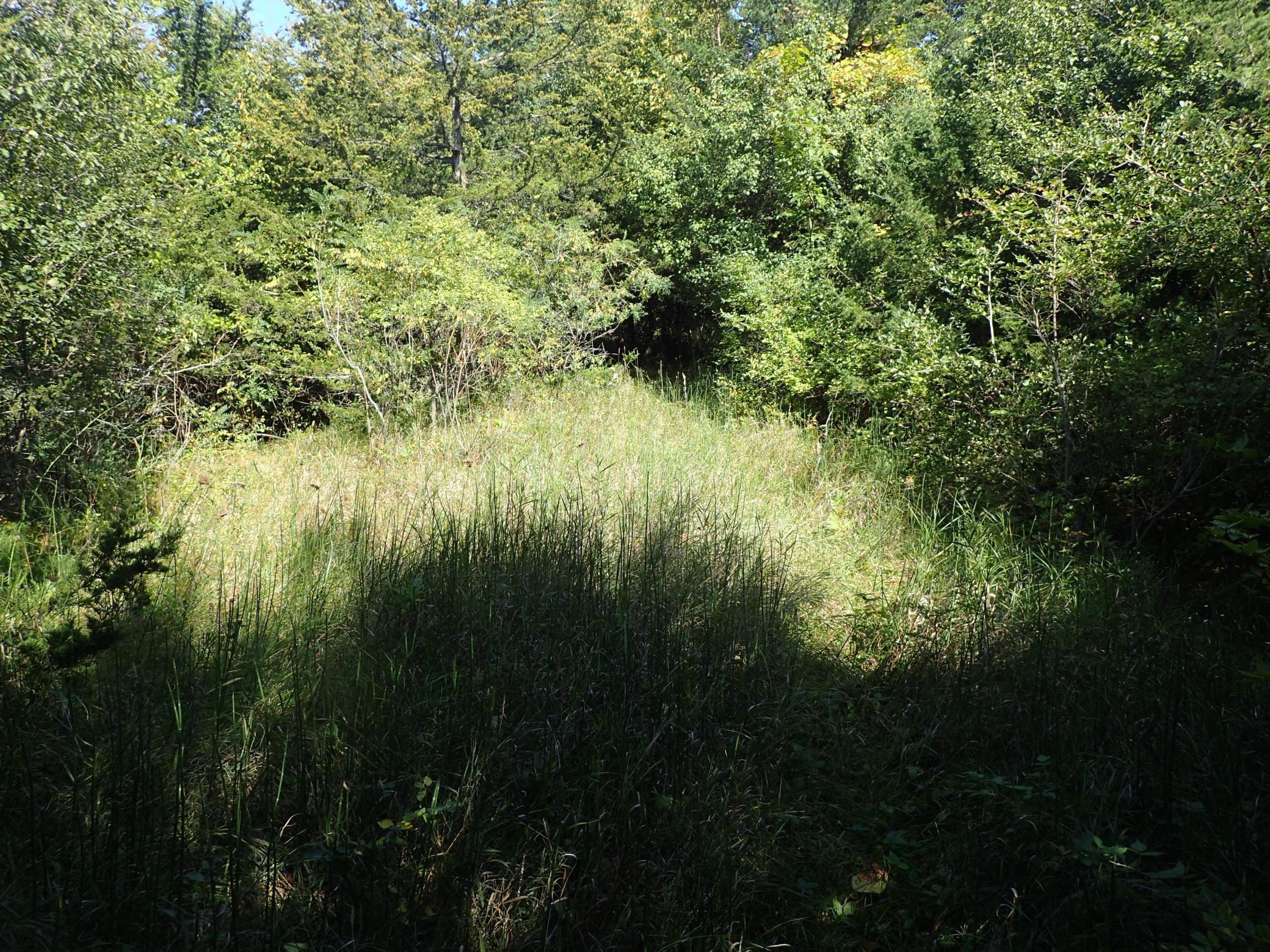 Tbd8.5 County Road 106 Property Photo 27