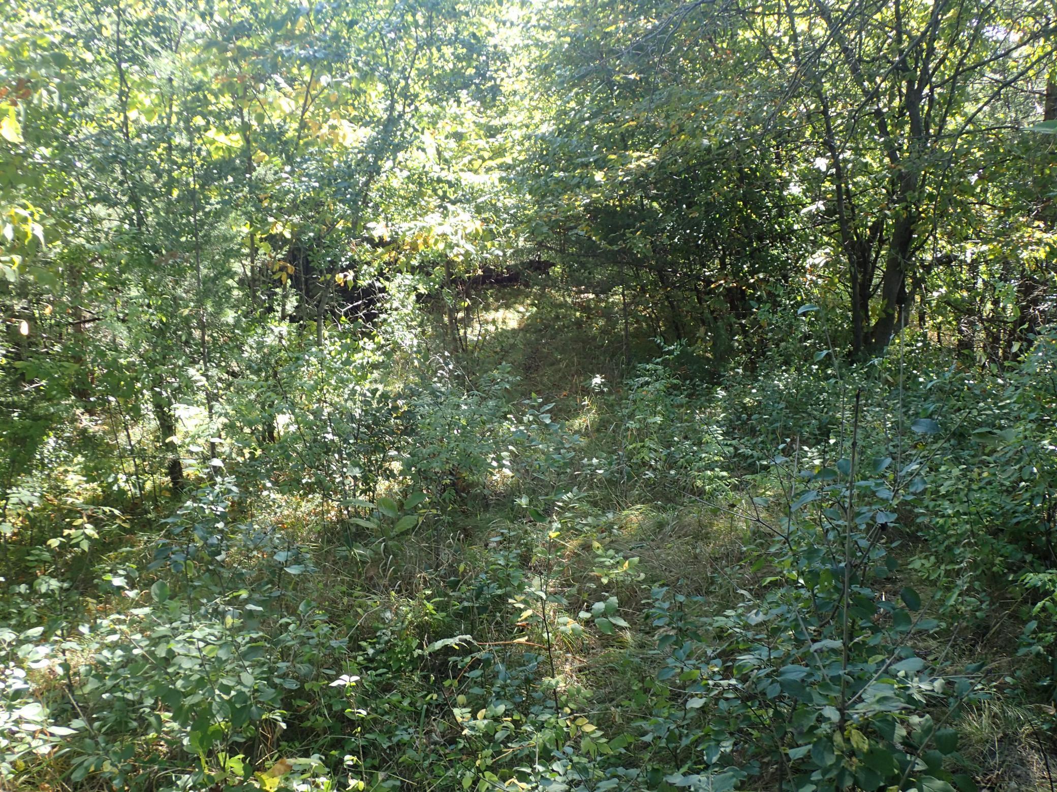 Tbd8.5 County Road 106 Property Photo 28