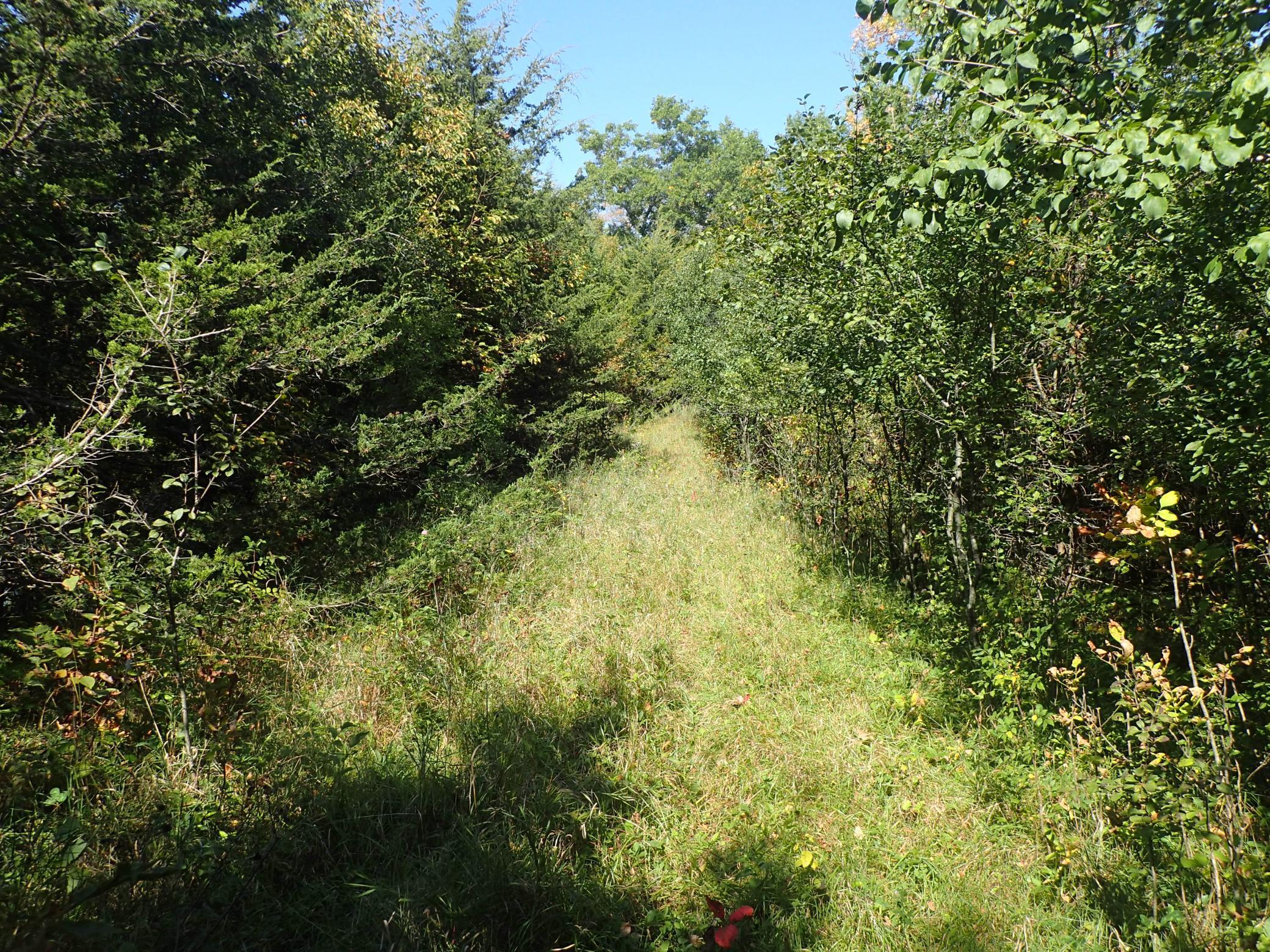 Tbd8.5 County Road 106 Property Photo 31