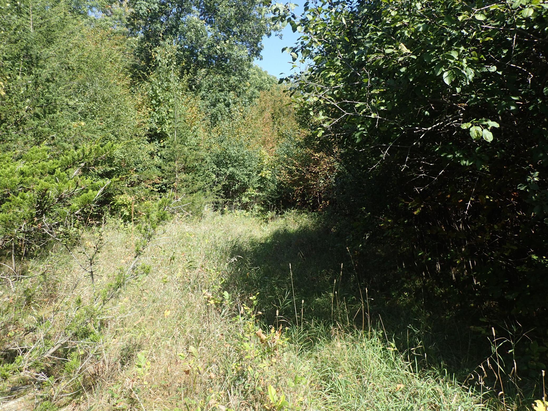 Tbd8.5 County Road 106 Property Photo 32