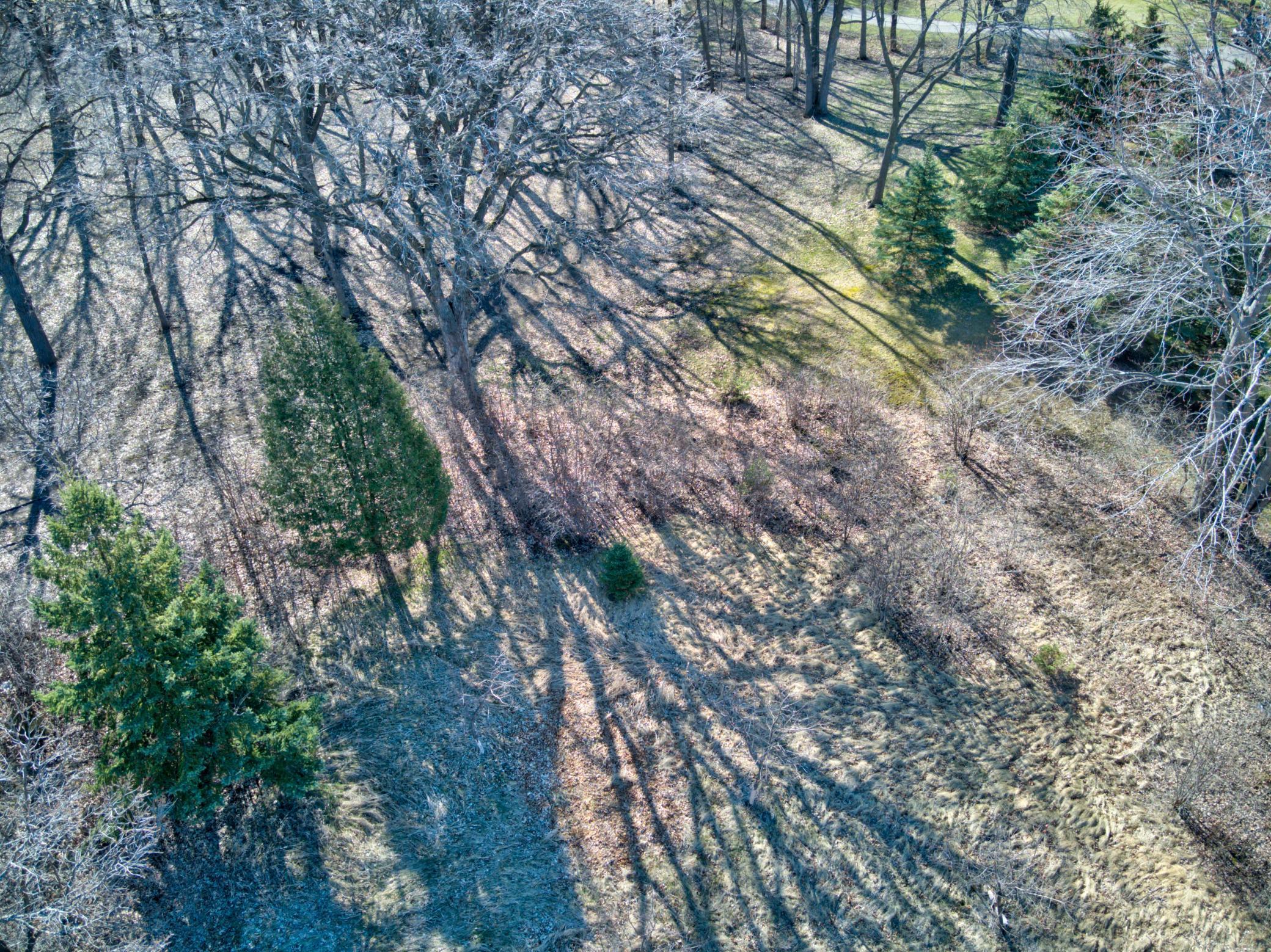 1410 Ridgewood Drive Property Photo 11
