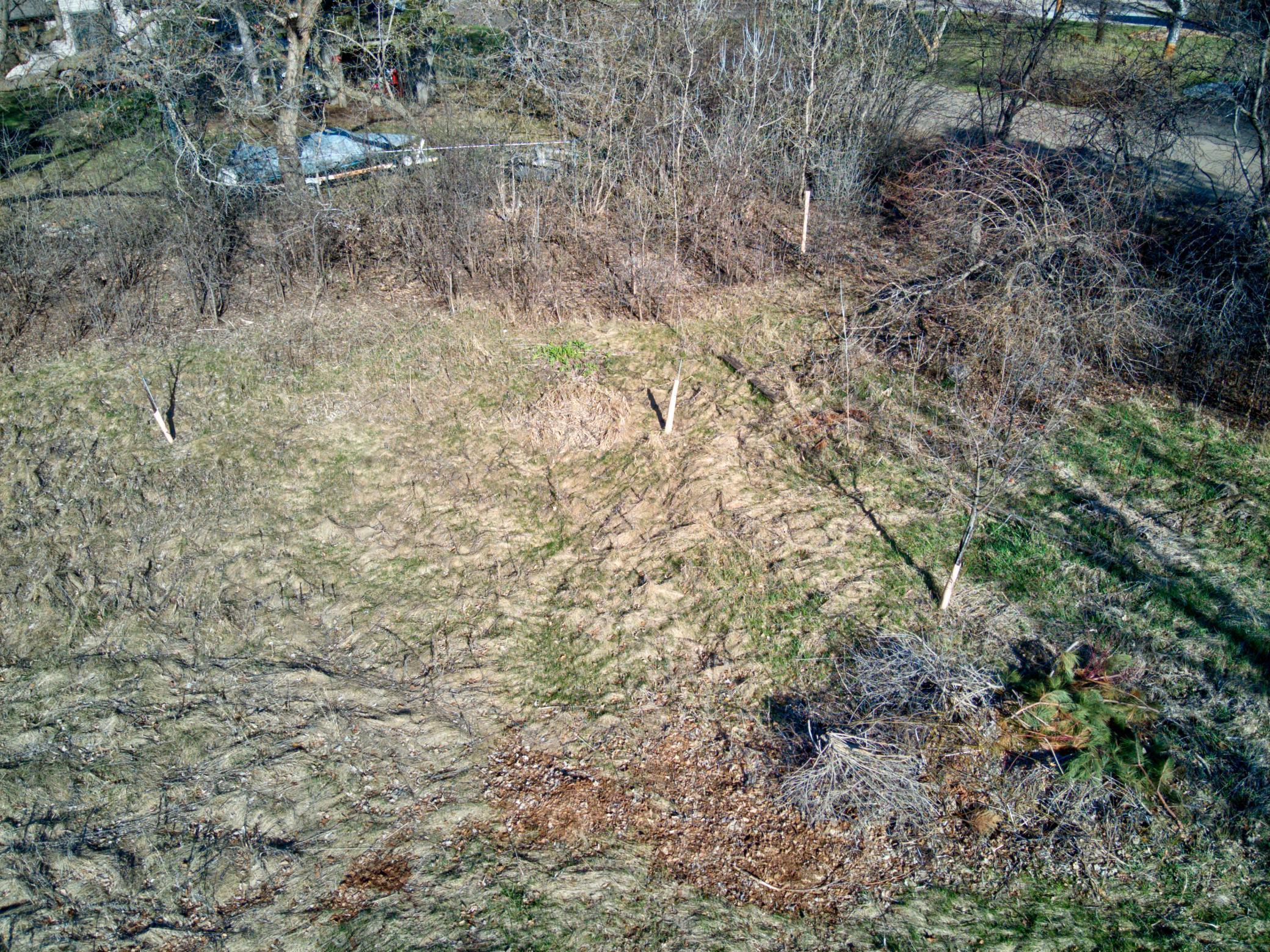 1410 Ridgewood Drive Property Photo 14