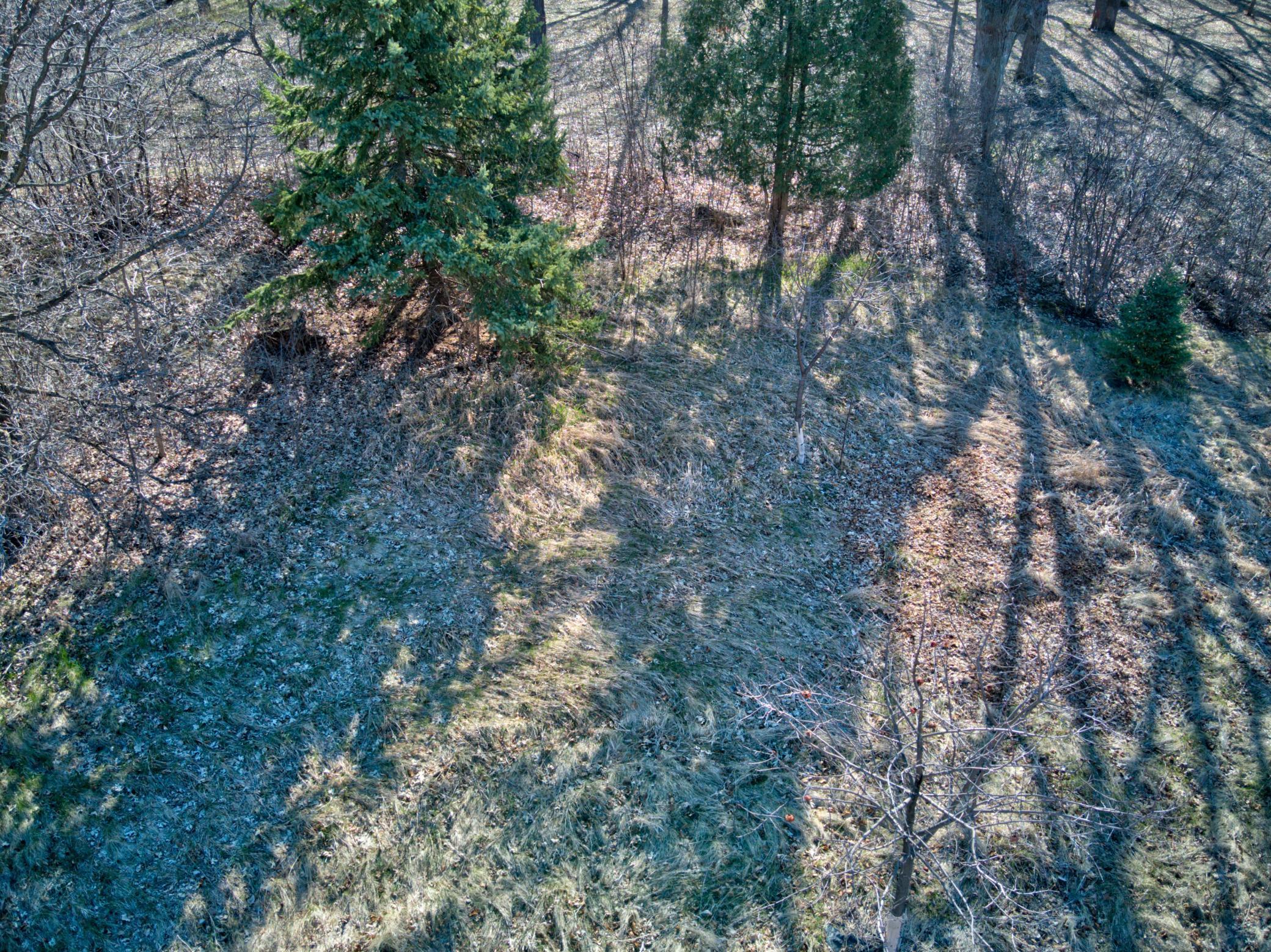 1410 Ridgewood Drive Property Photo 17
