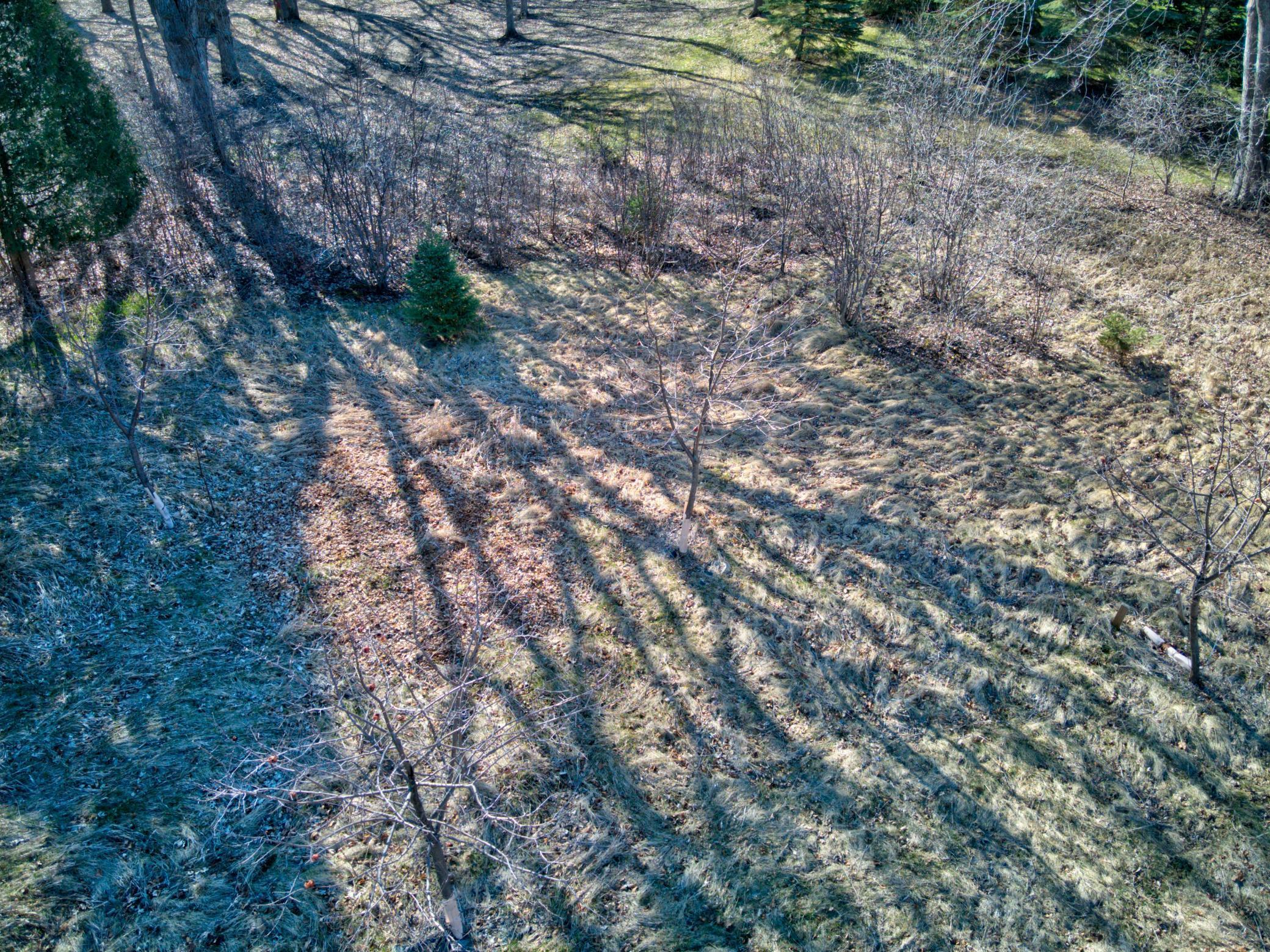 1410 Ridgewood Drive Property Photo 18
