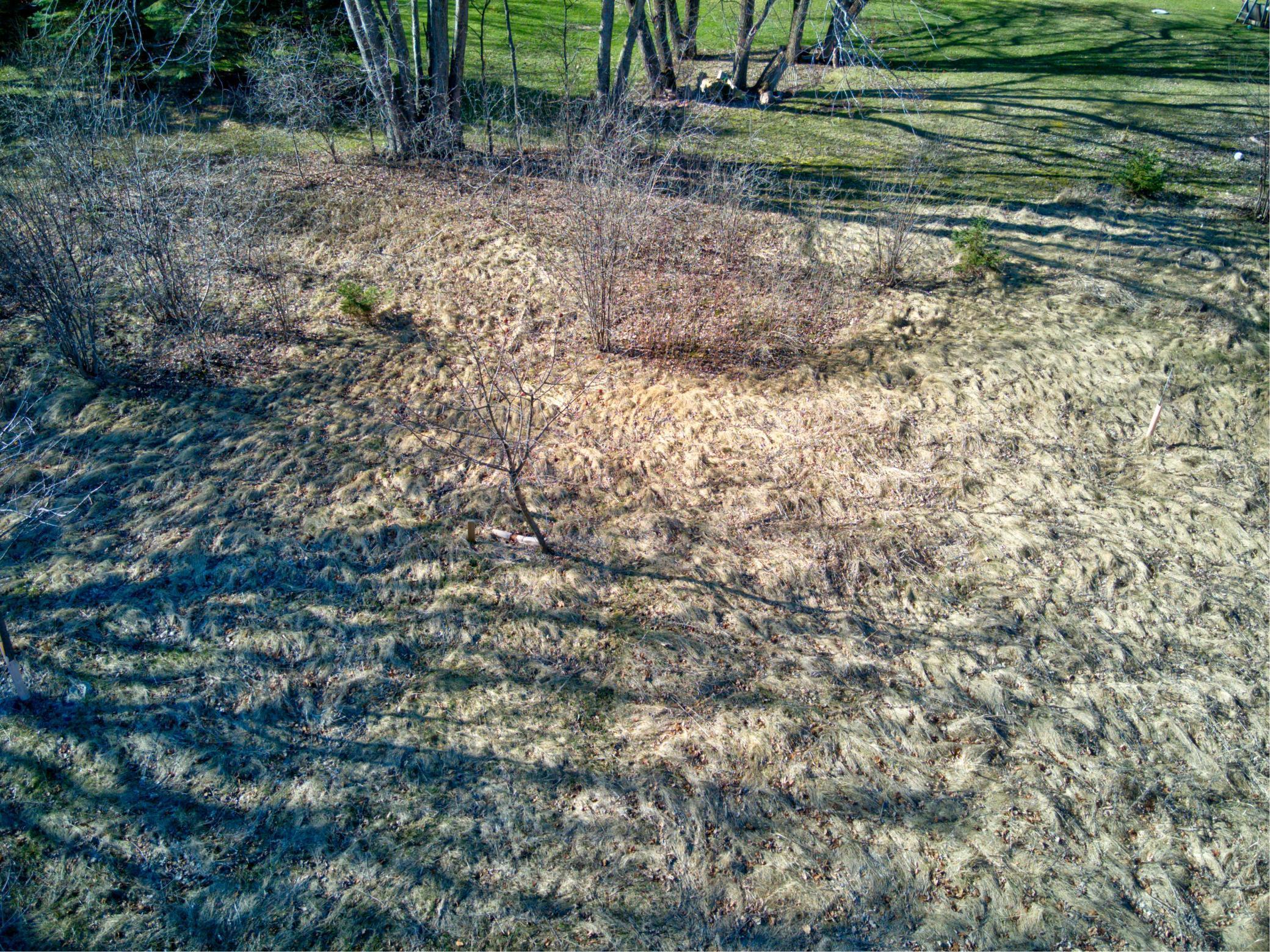 1410 Ridgewood Drive Property Photo 19