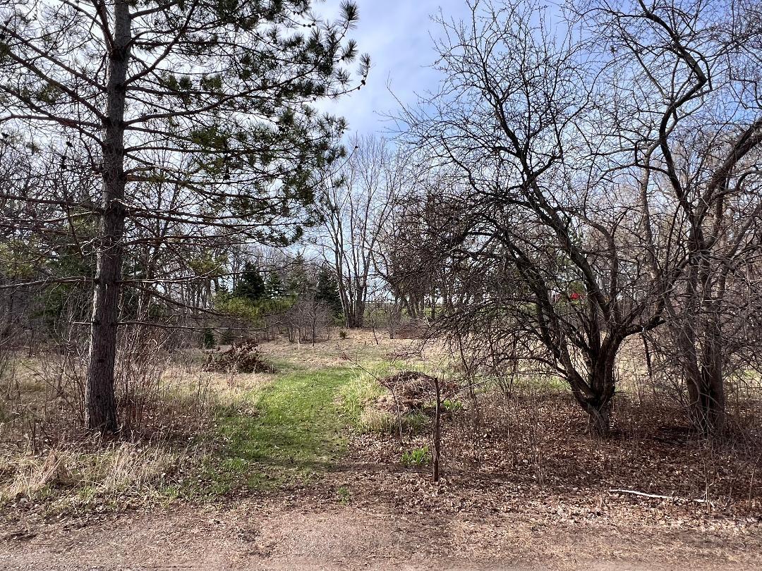 1410 Ridgewood Drive Property Photo 23