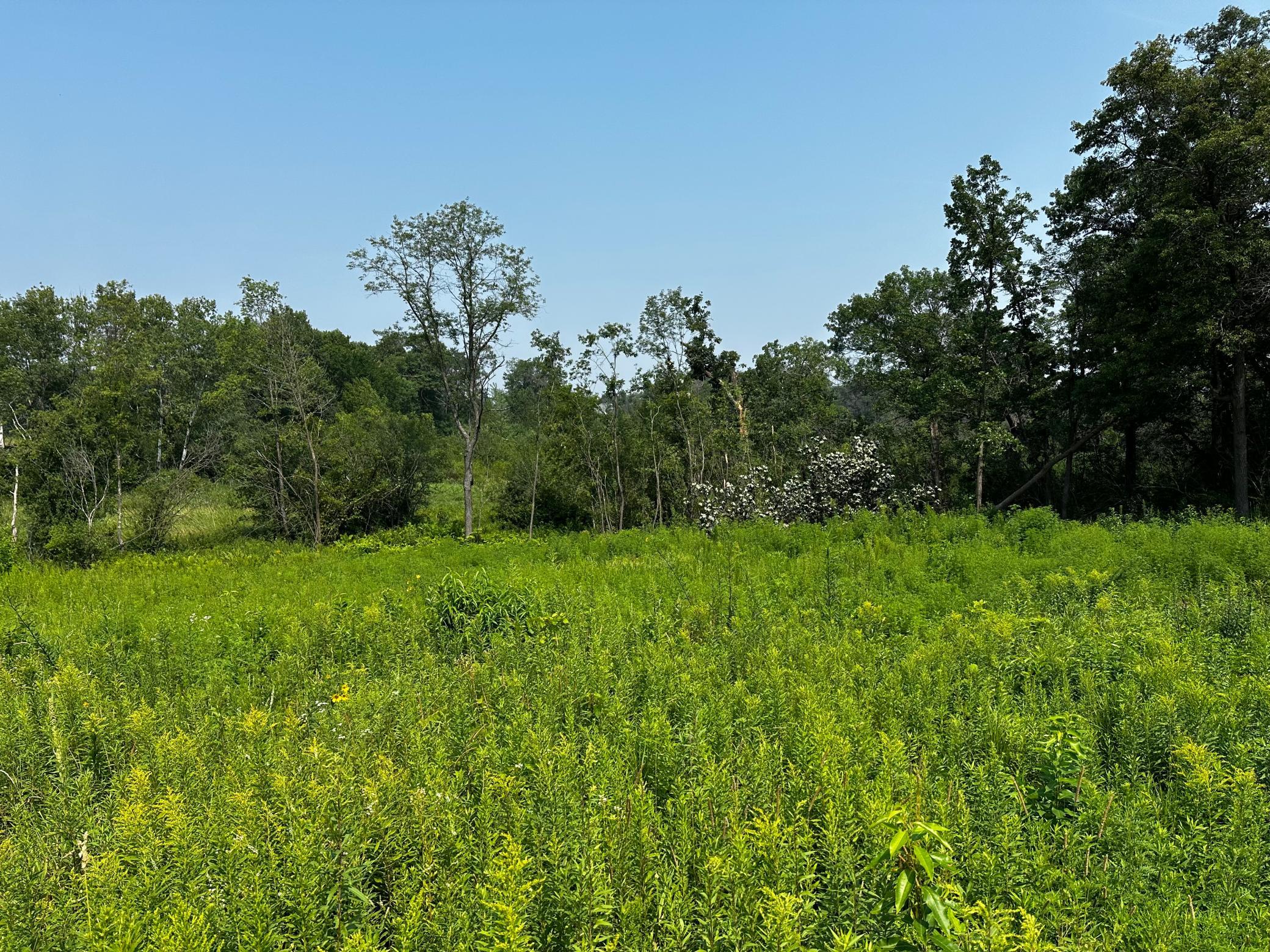 8 Pondview Trail Property Photo 1