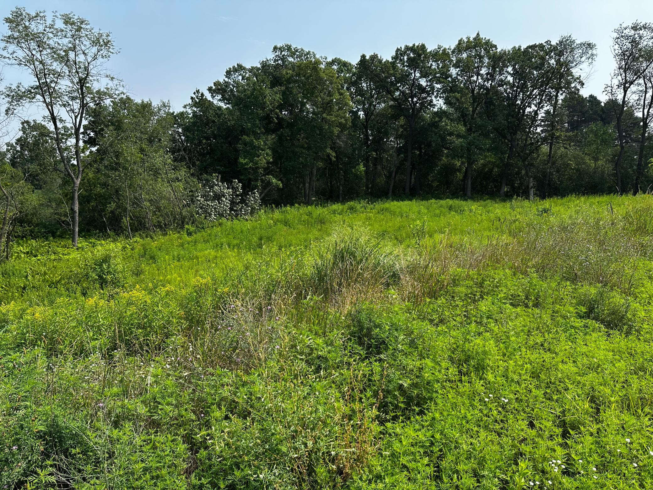 8 Pondview Trail Property Photo 2