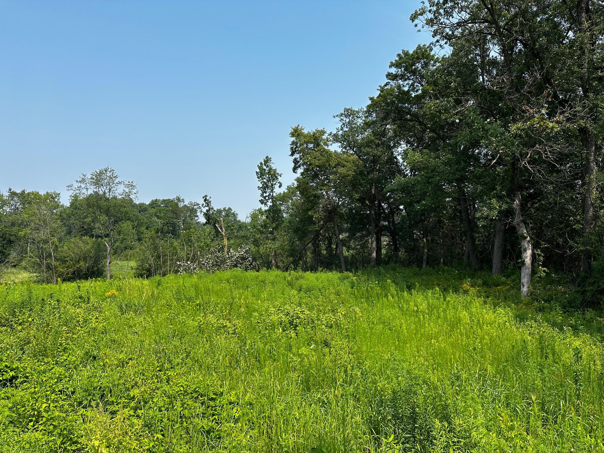 8 Pondview Trail Property Photo 3