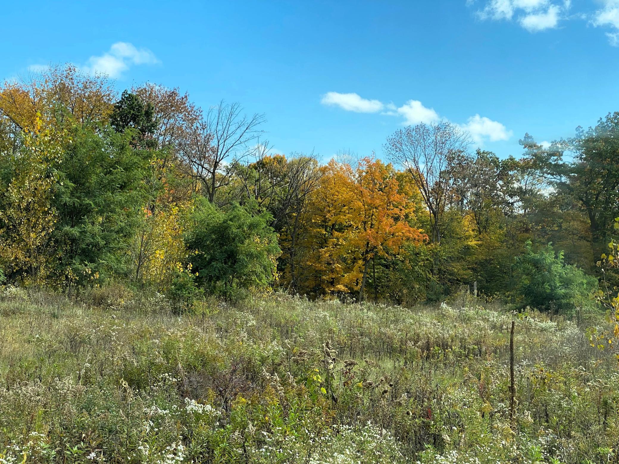 1112 Timber Path Property Photo 1