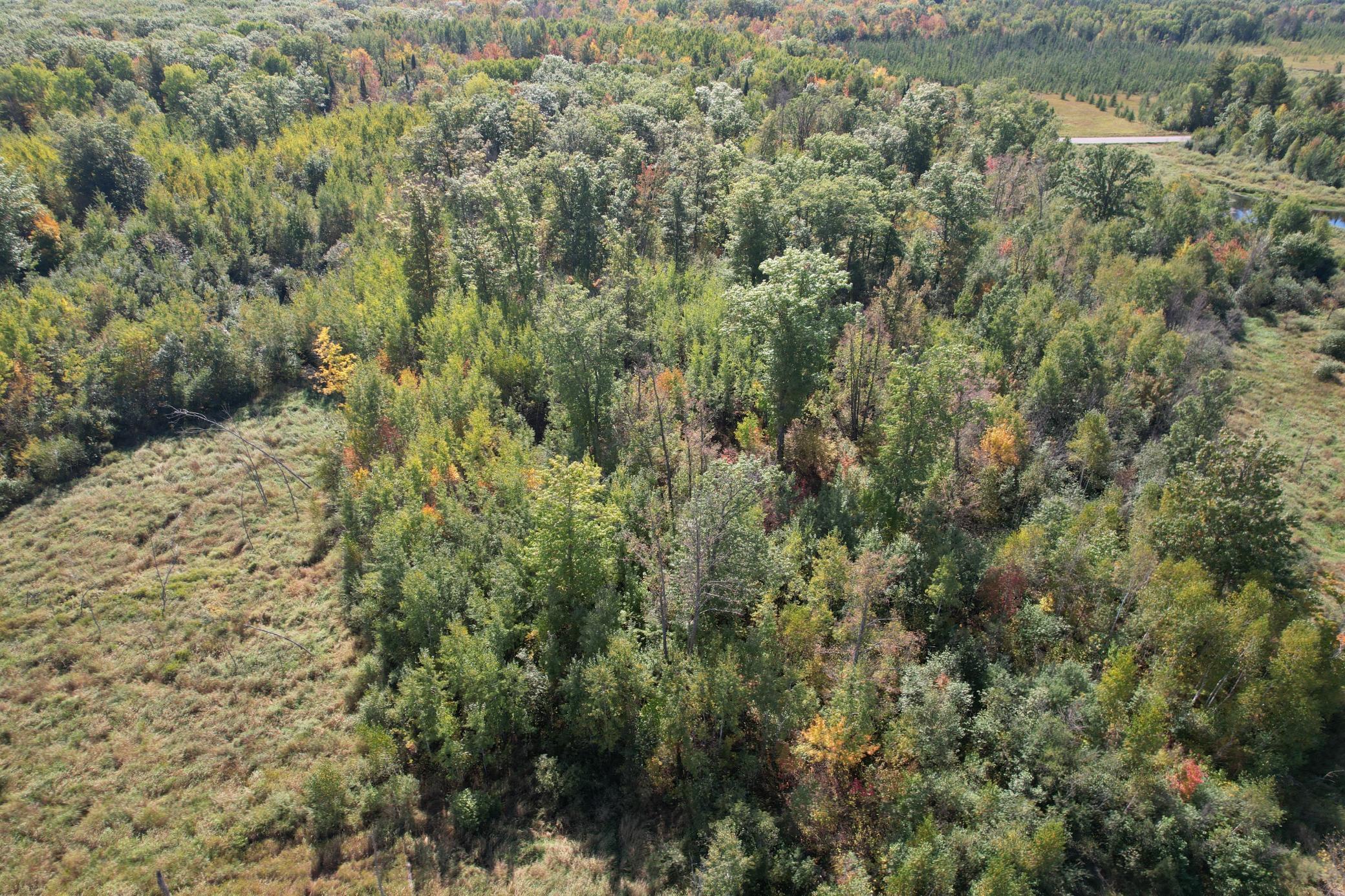 40xxx Rutabaga Road Property Photo 1