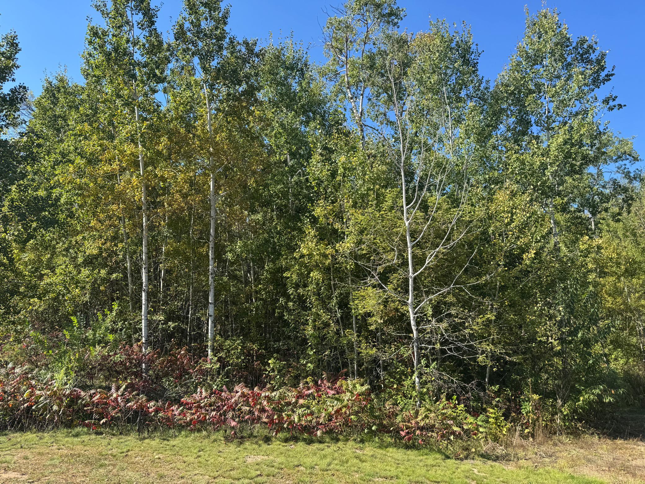 Tbd 377th Street Property Photo 7