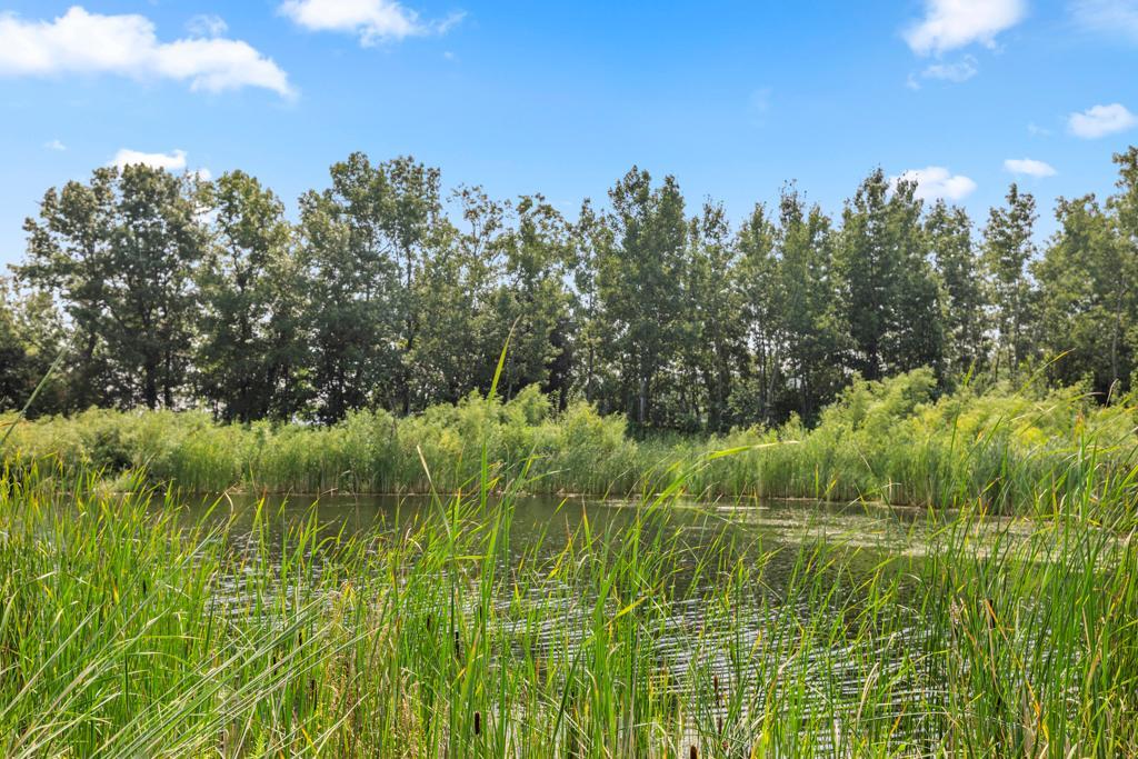 4848 Bulrush Boulevard Property Photo 68
