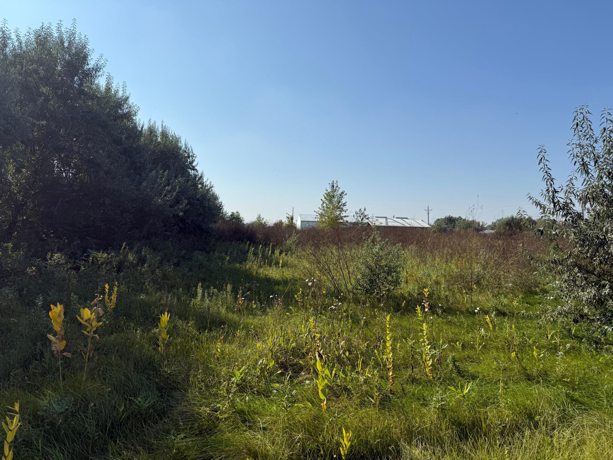 6655 Us 10 Highway W Property Photo 8