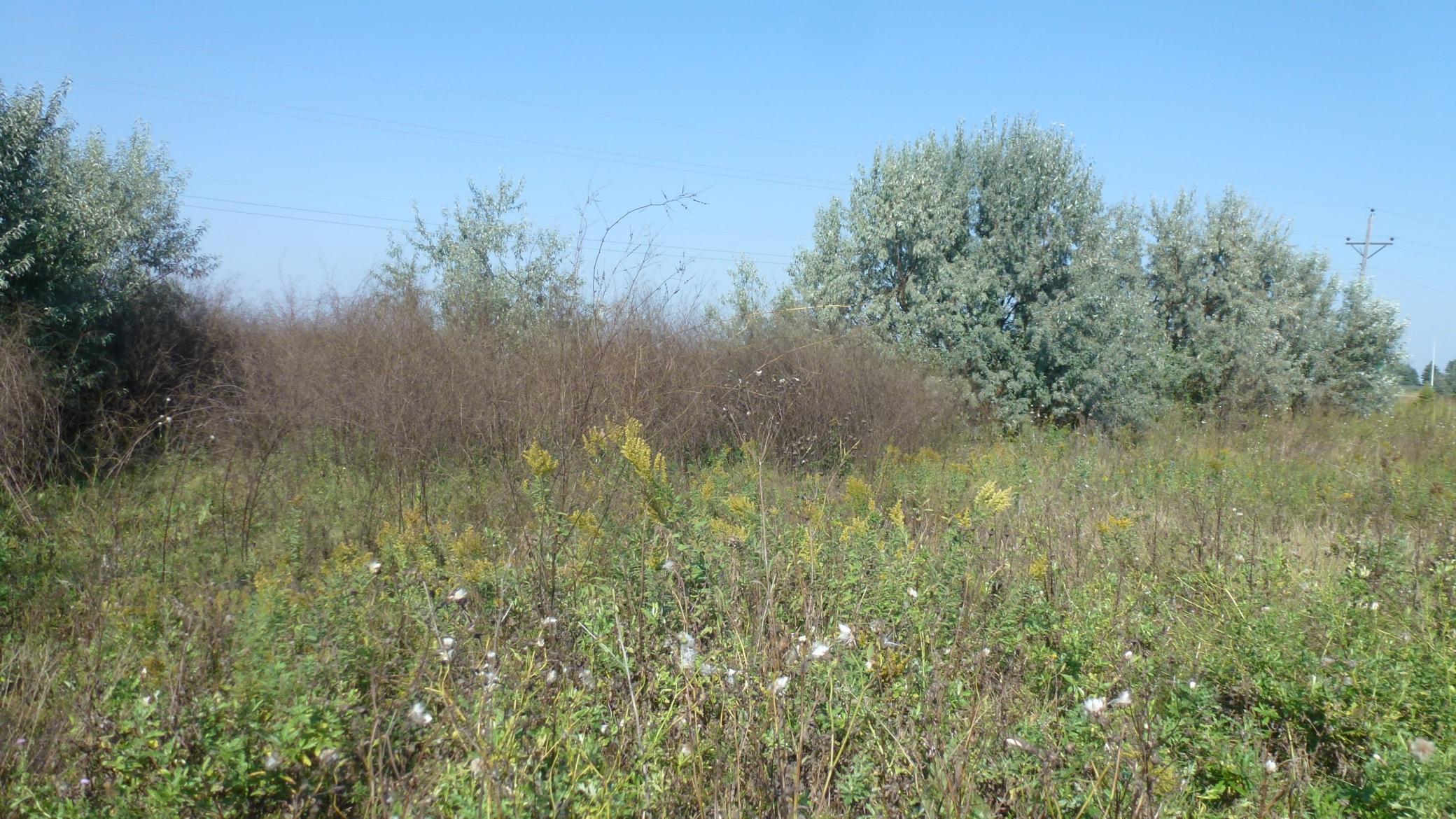 6655 Us 10 Highway W Property Photo 10