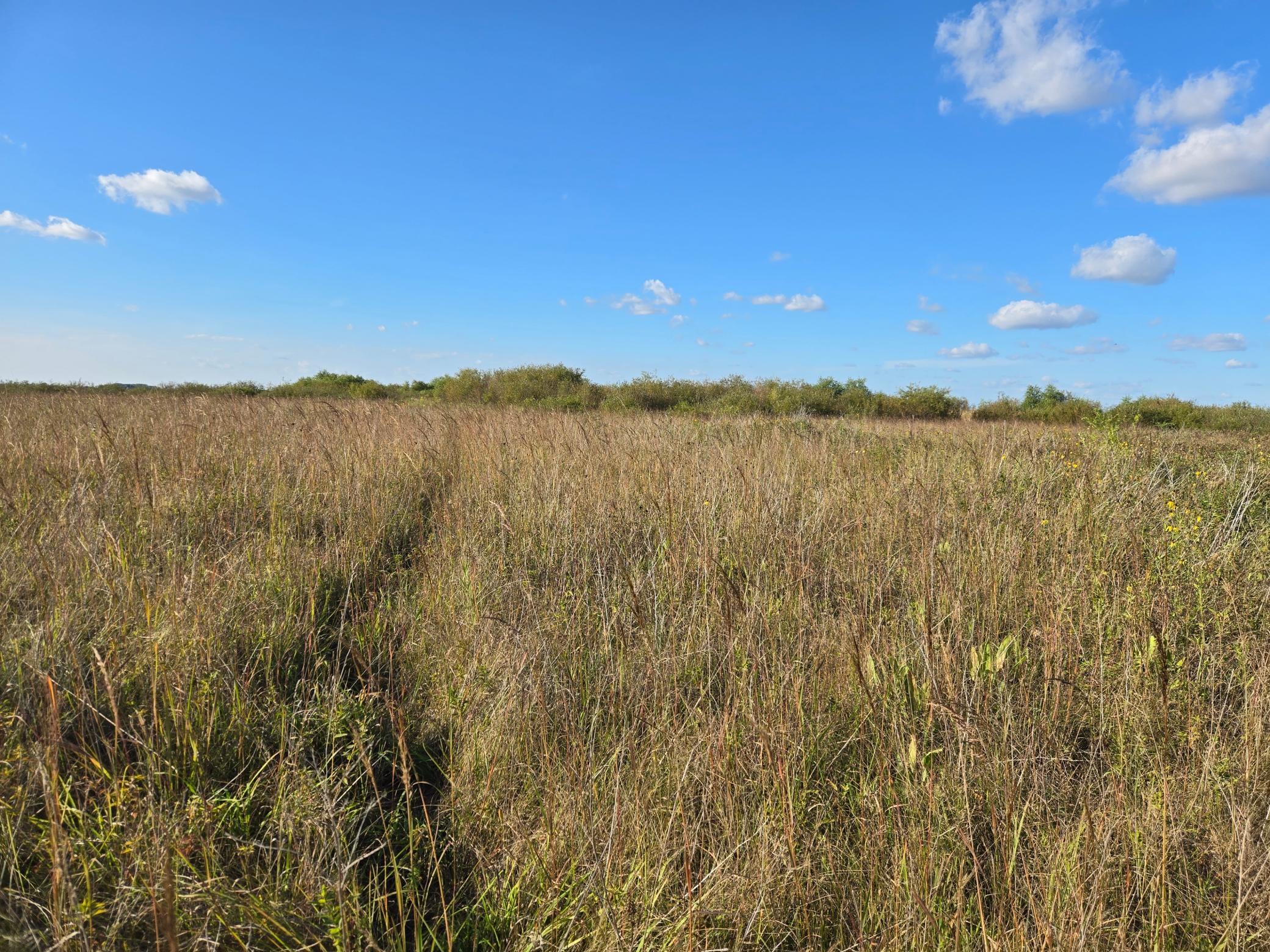 Tbd 340th Street Property Photo 45