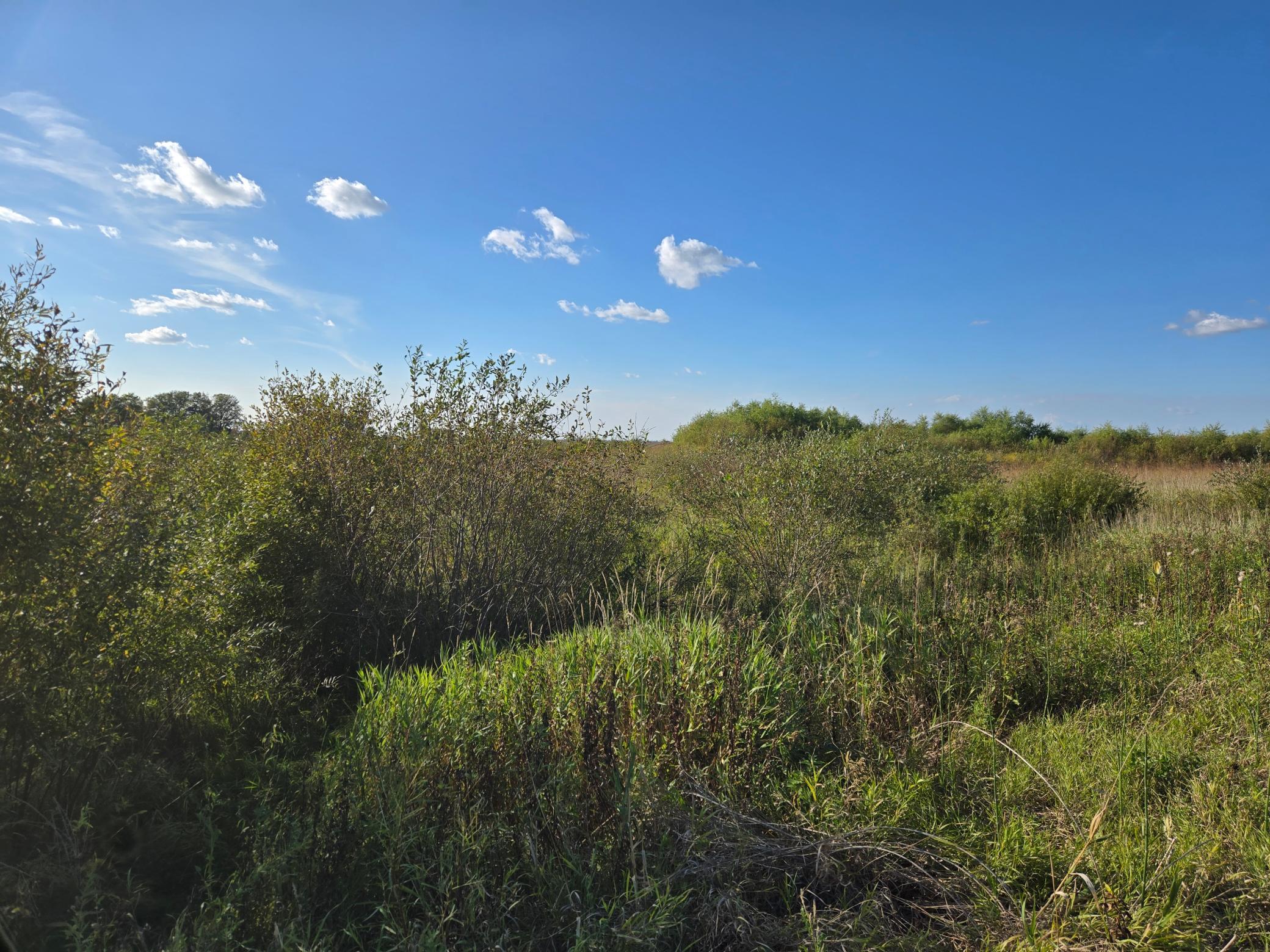 Tbd 340th Street Property Photo 47