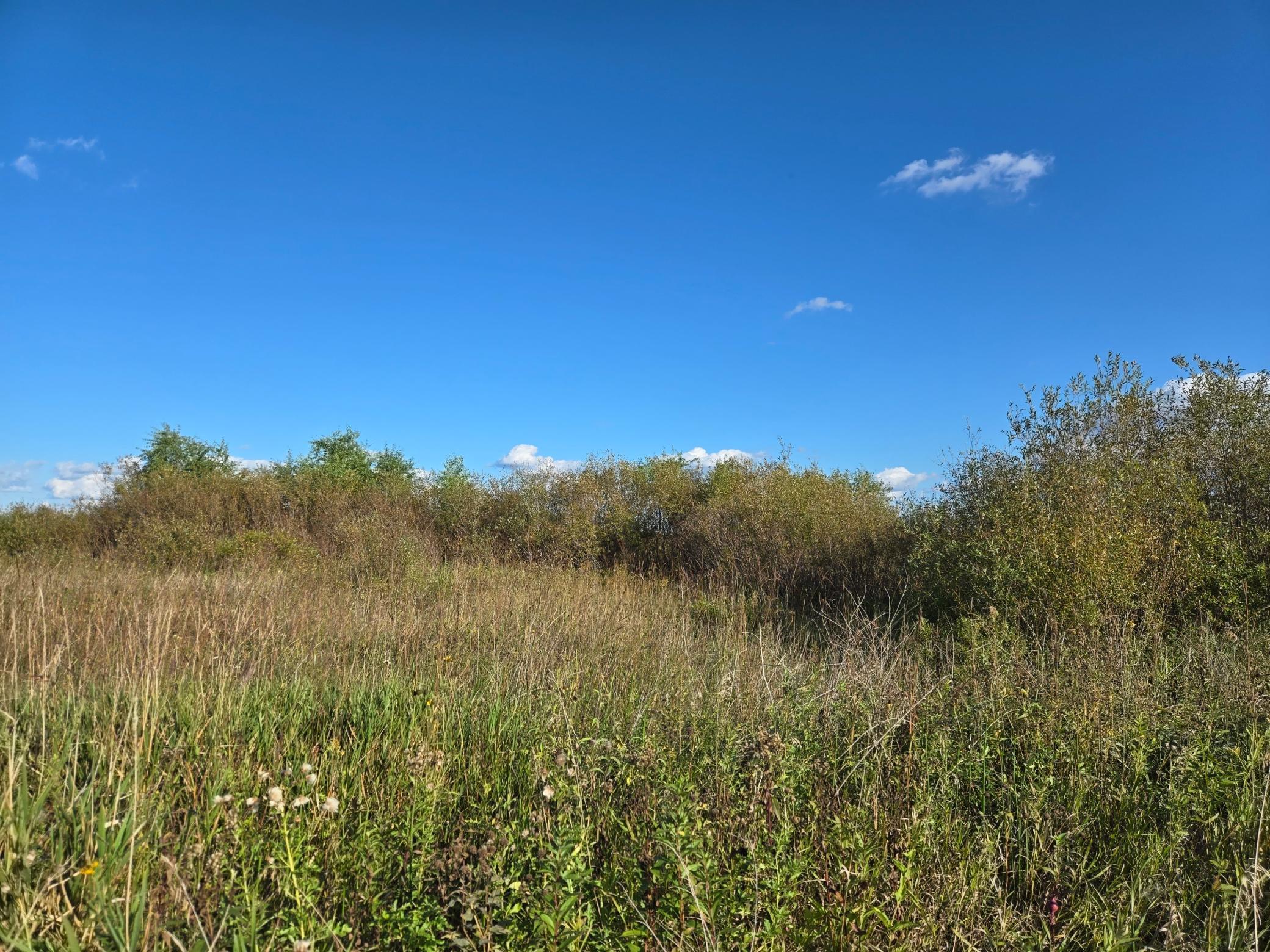 Tbd 340th Street Property Photo 49