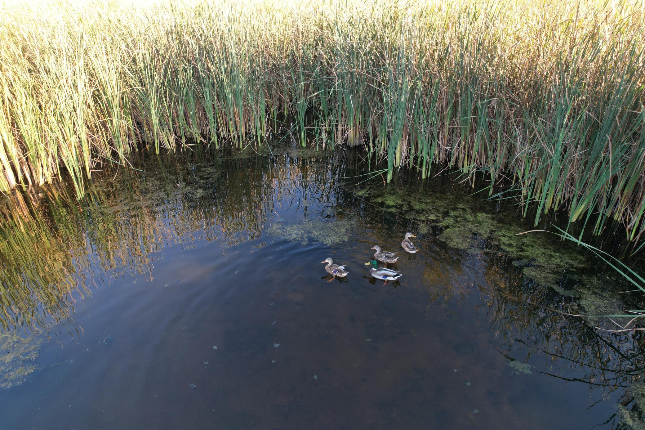 Tbd 340th Street Property Photo 82