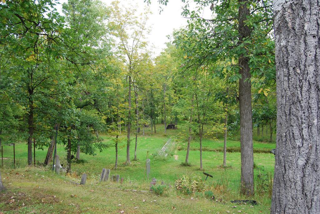 3065 River Road Property Photo 45