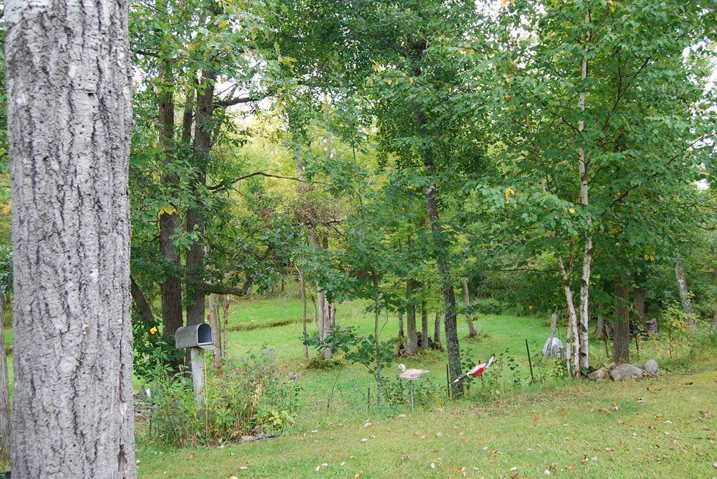 3065 River Road Property Photo 46