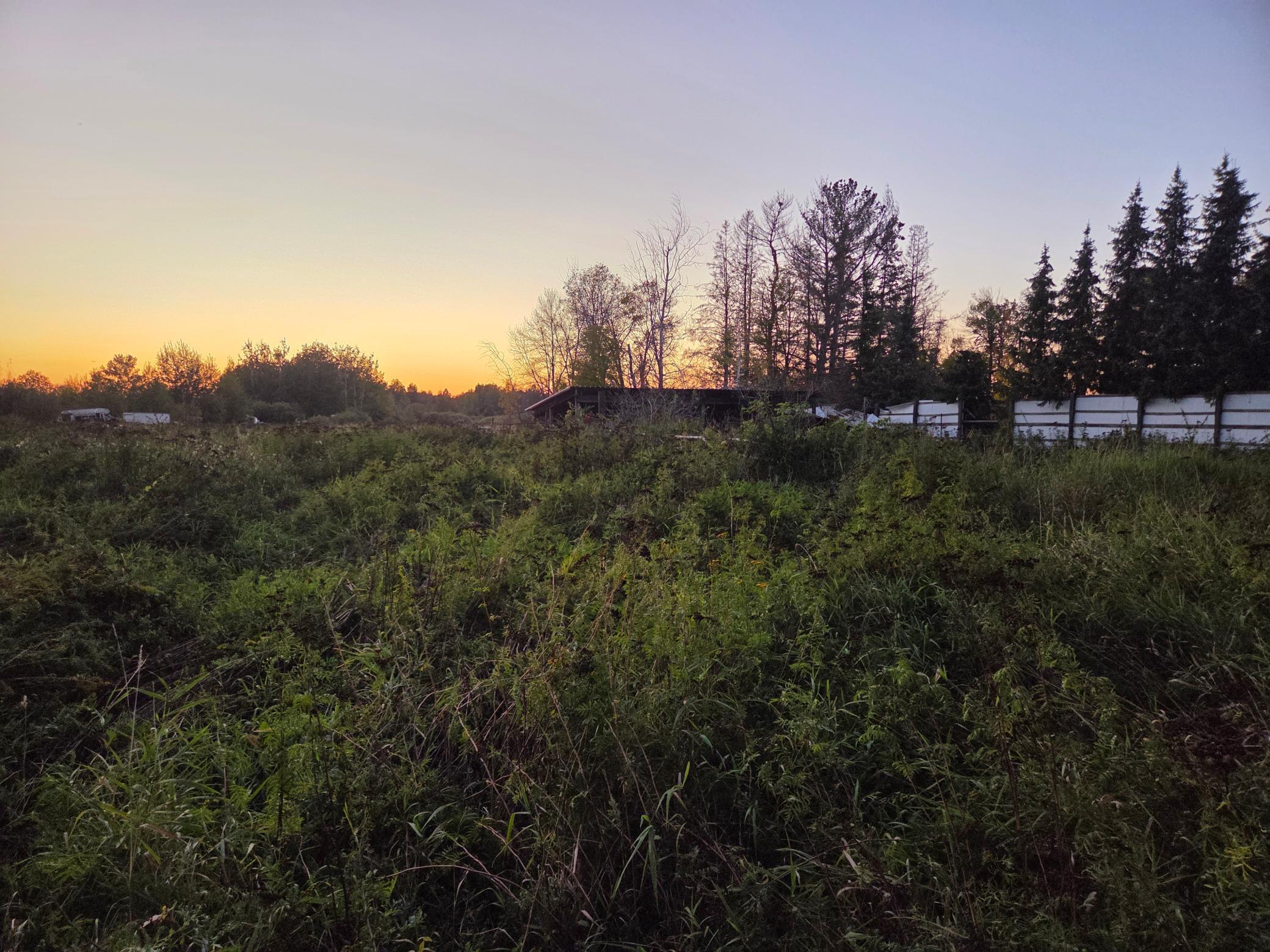 36101 Pincherry RD Property Photo 1